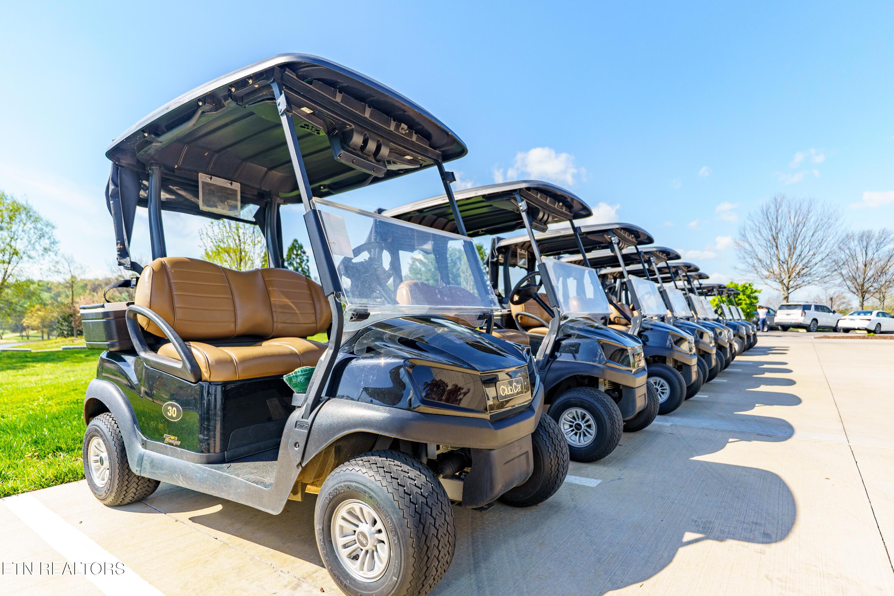 Fort Loudoun and Tellico Lake Real Estate - Image# 22