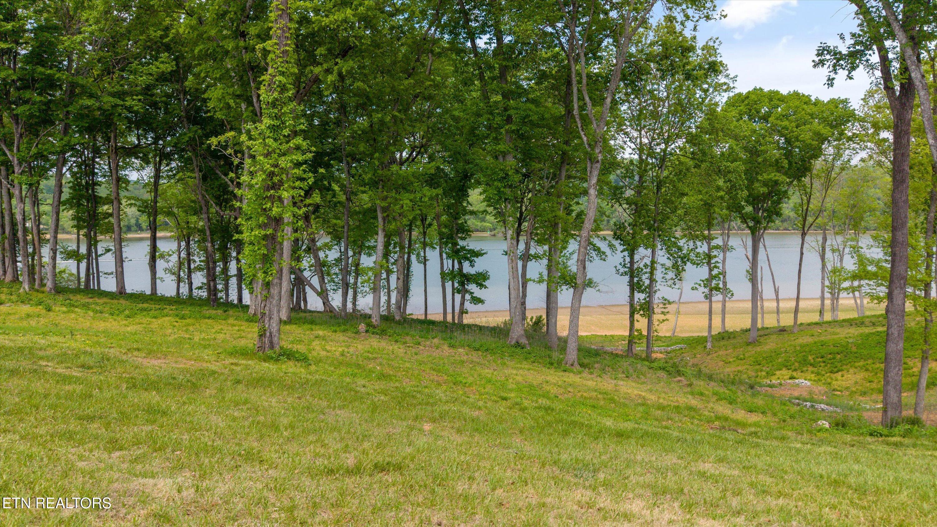 Fort Loudoun and Tellico Lake Real Estate - Image# 38