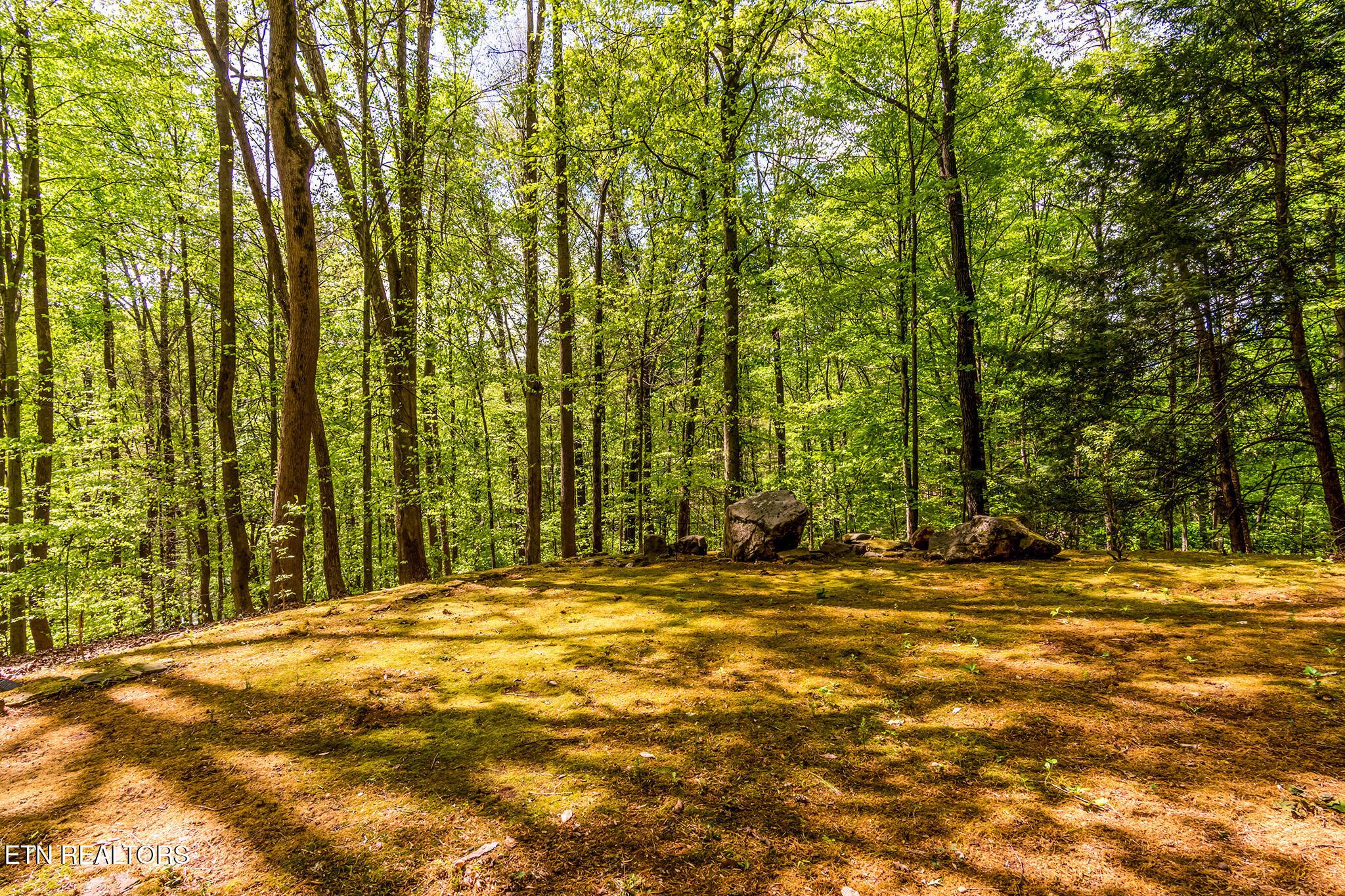 Fort Loudoun and Tellico Lake Real Estate - Image# 48