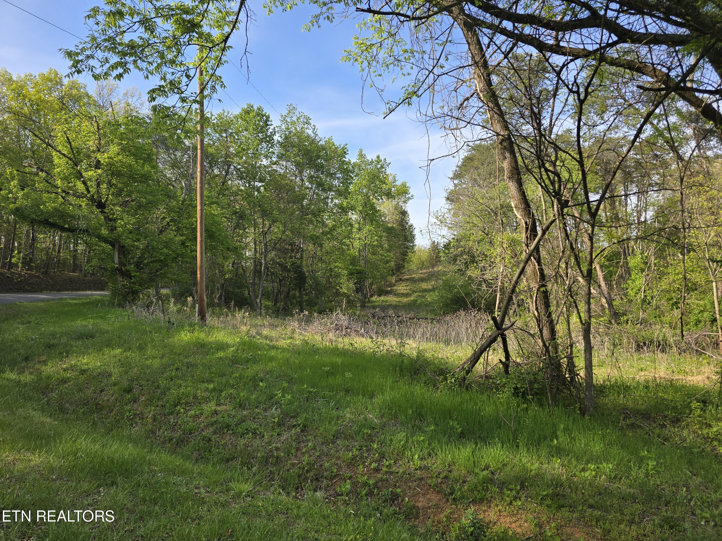 3697 Jackson Bend Rd, Lenoir City, TN - Fort Loudoun and Tellico Lake Real Estate - Image# 13