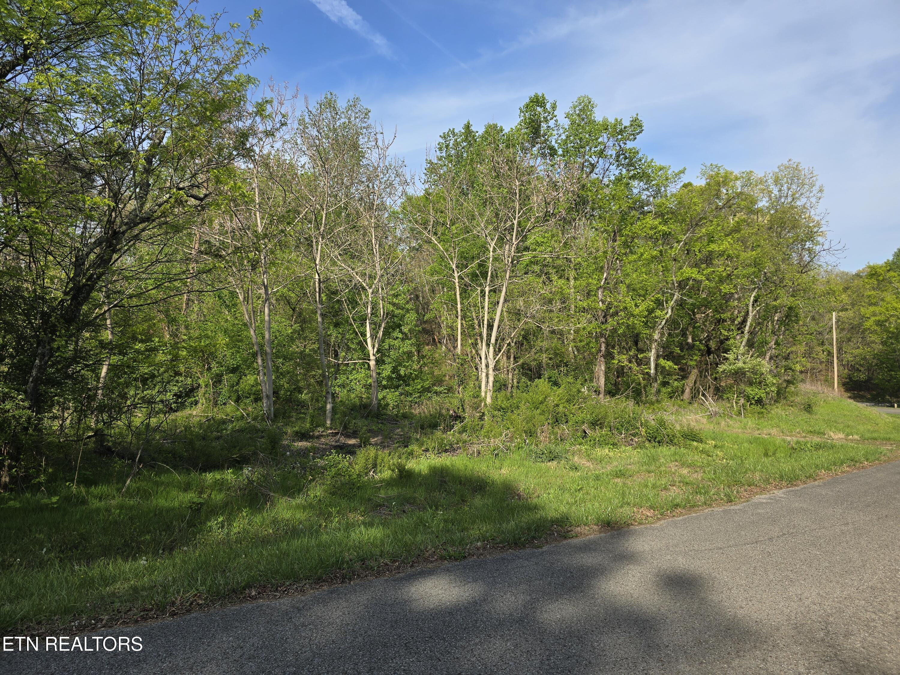 3697 Jackson Bend Rd, Lenoir City, TN - Fort Loudoun and Tellico Lake Real Estate - Image# 14