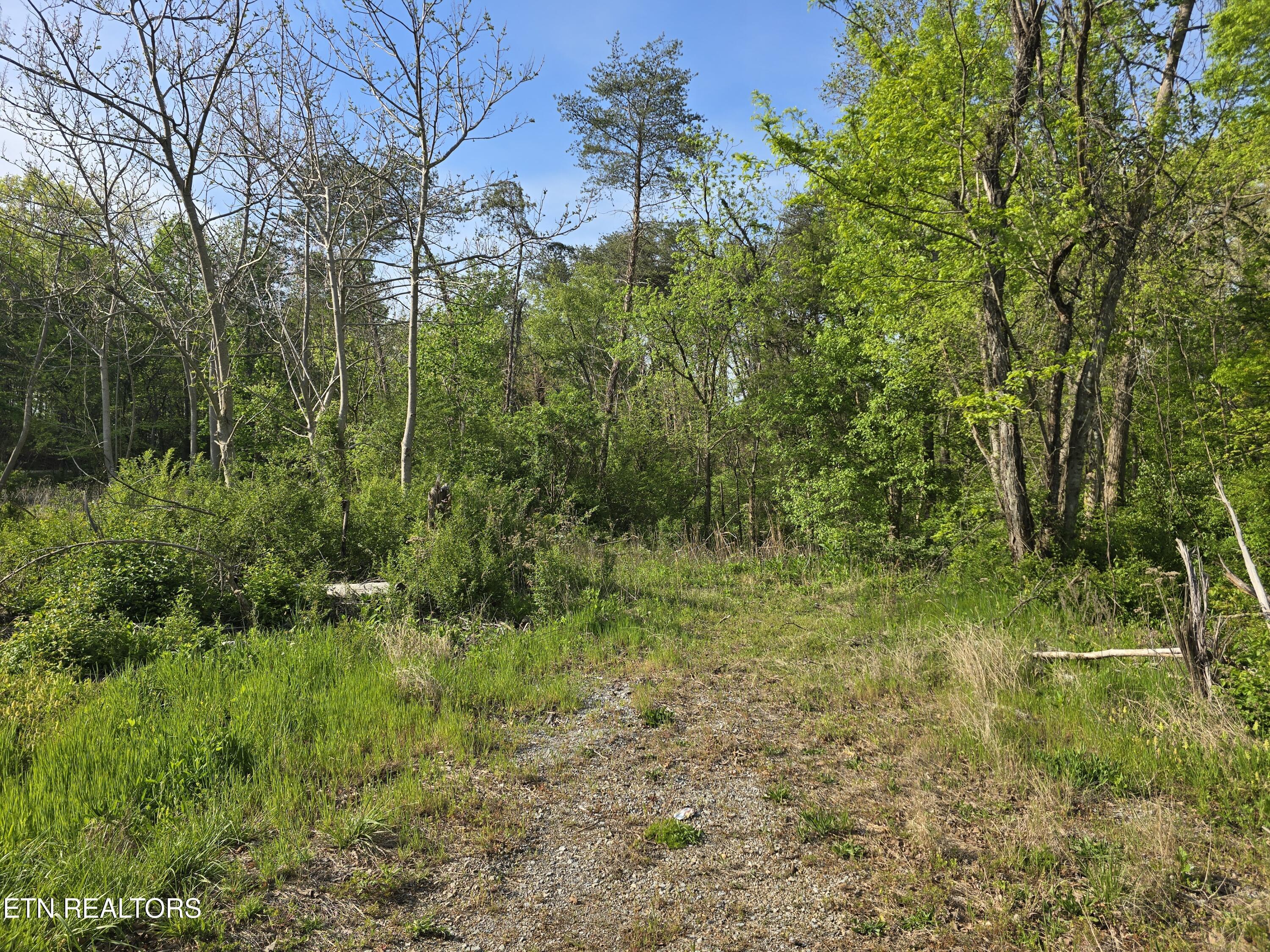 3697 Jackson Bend Rd, Lenoir City, TN - Fort Loudoun and Tellico Lake Real Estate - Image# 15