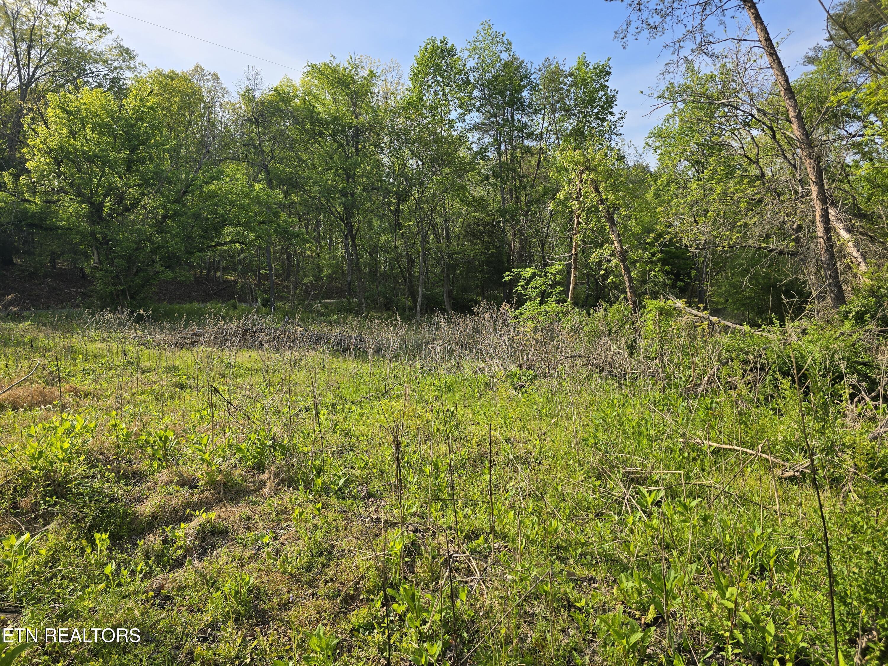 3697 Jackson Bend Rd, Lenoir City, TN - Fort Loudoun and Tellico Lake Real Estate - Image# 16