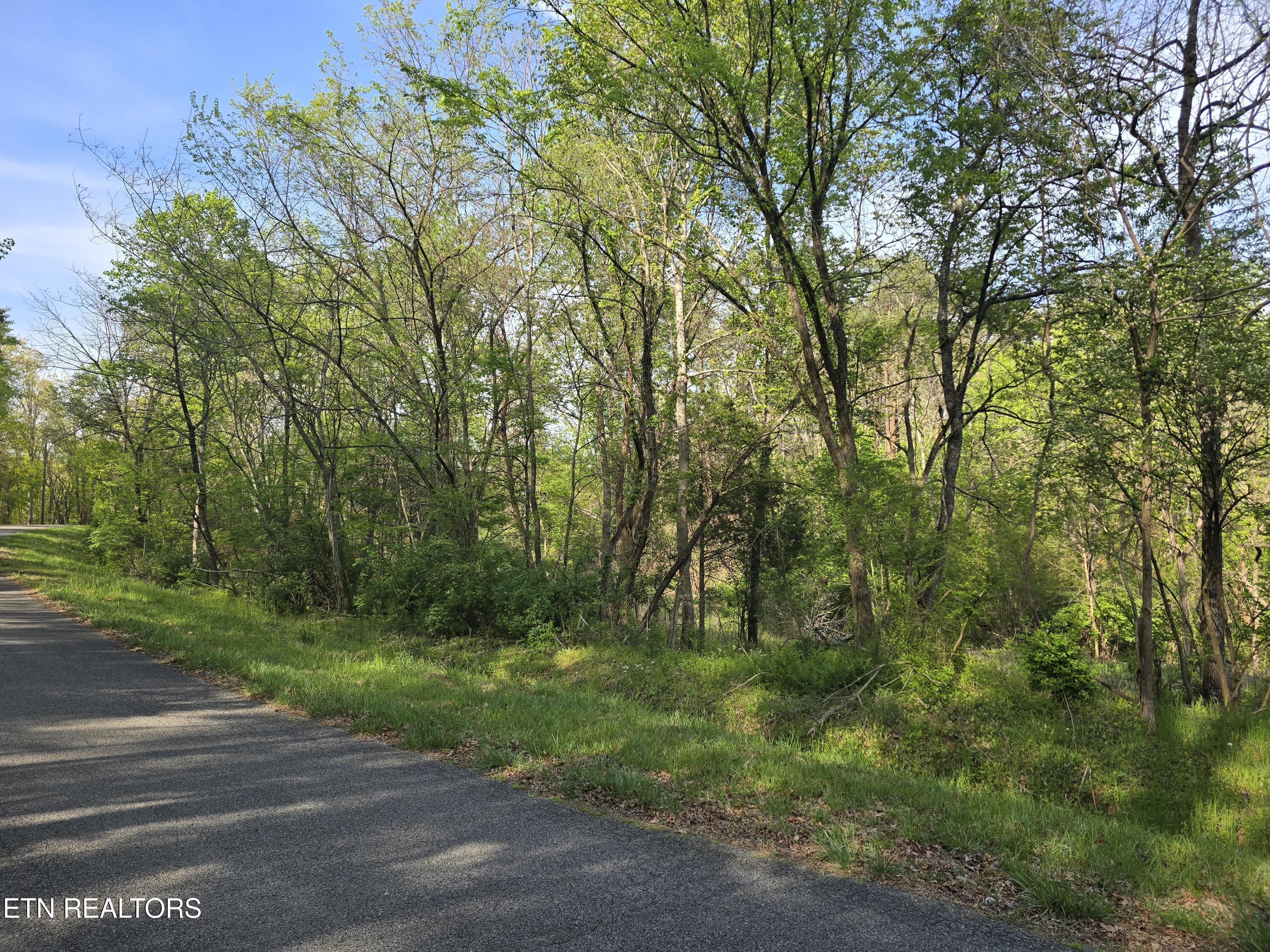 3697 Jackson Bend Rd, Lenoir City, TN - Fort Loudoun and Tellico Lake Real Estate - Image# 17