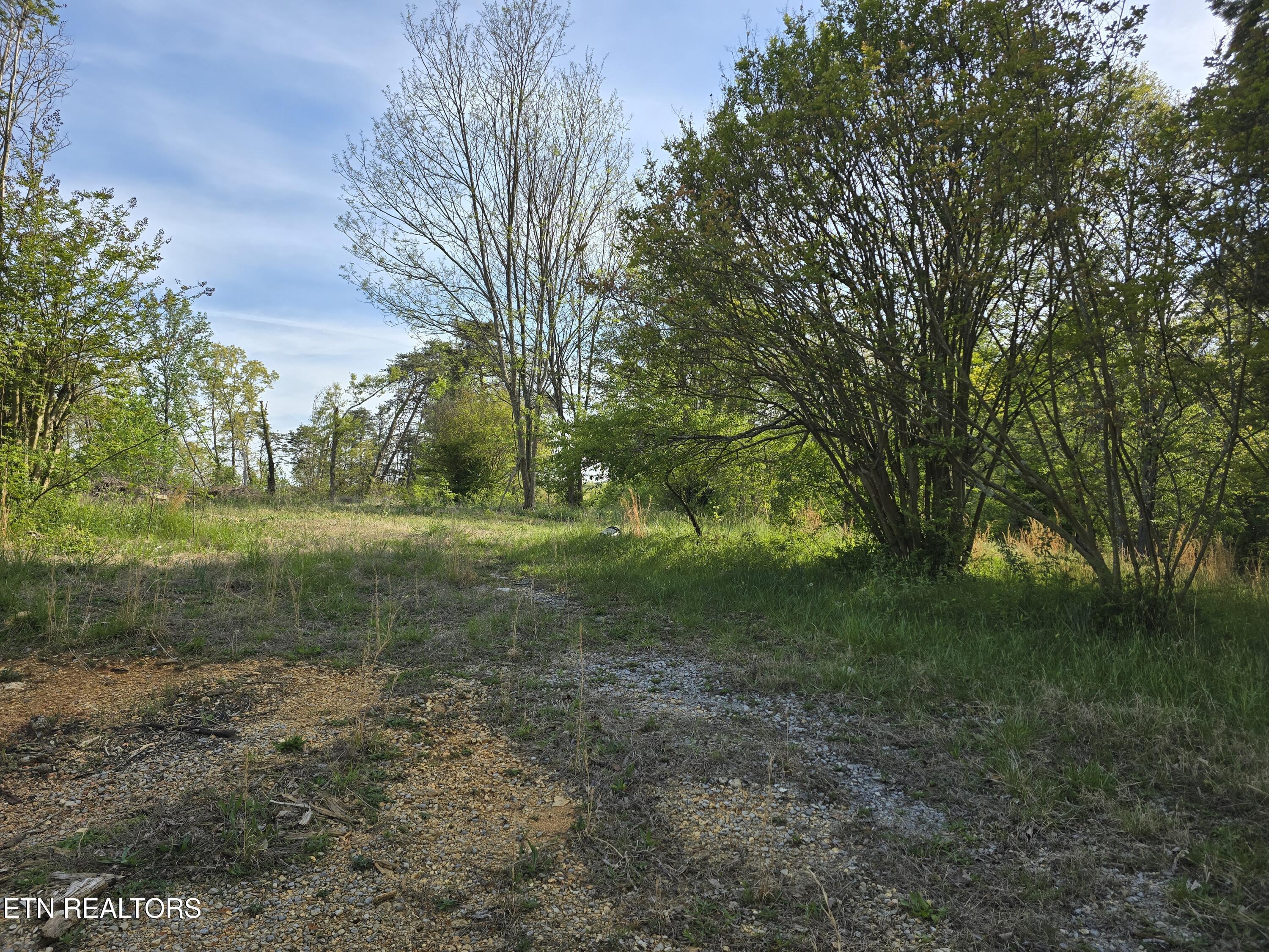 3697 Jackson Bend Rd, Lenoir City, TN - Fort Loudoun and Tellico Lake Real Estate - Image# 5