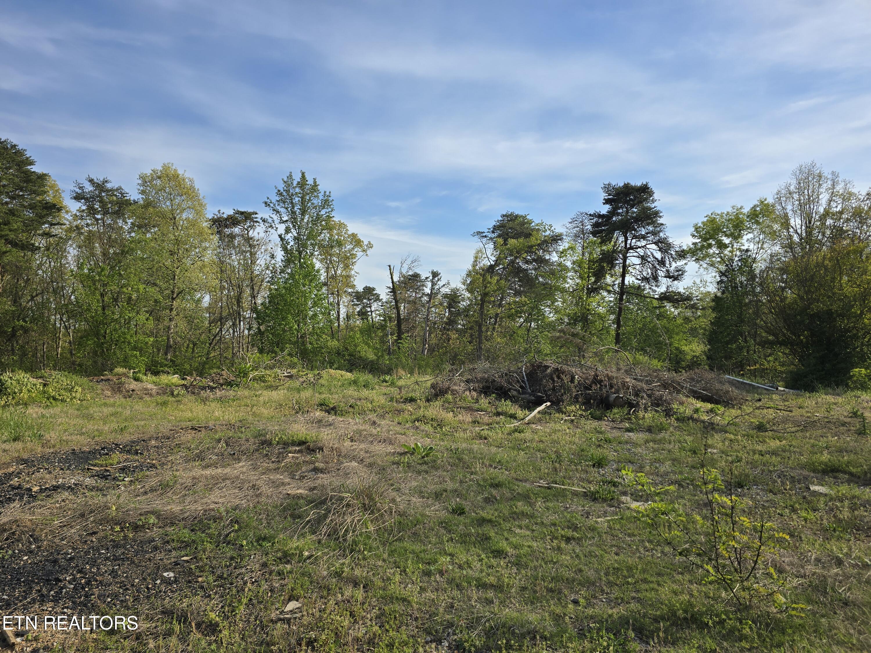 3697 Jackson Bend Rd, Lenoir City, TN - Fort Loudoun and Tellico Lake Real Estate - Image# 6