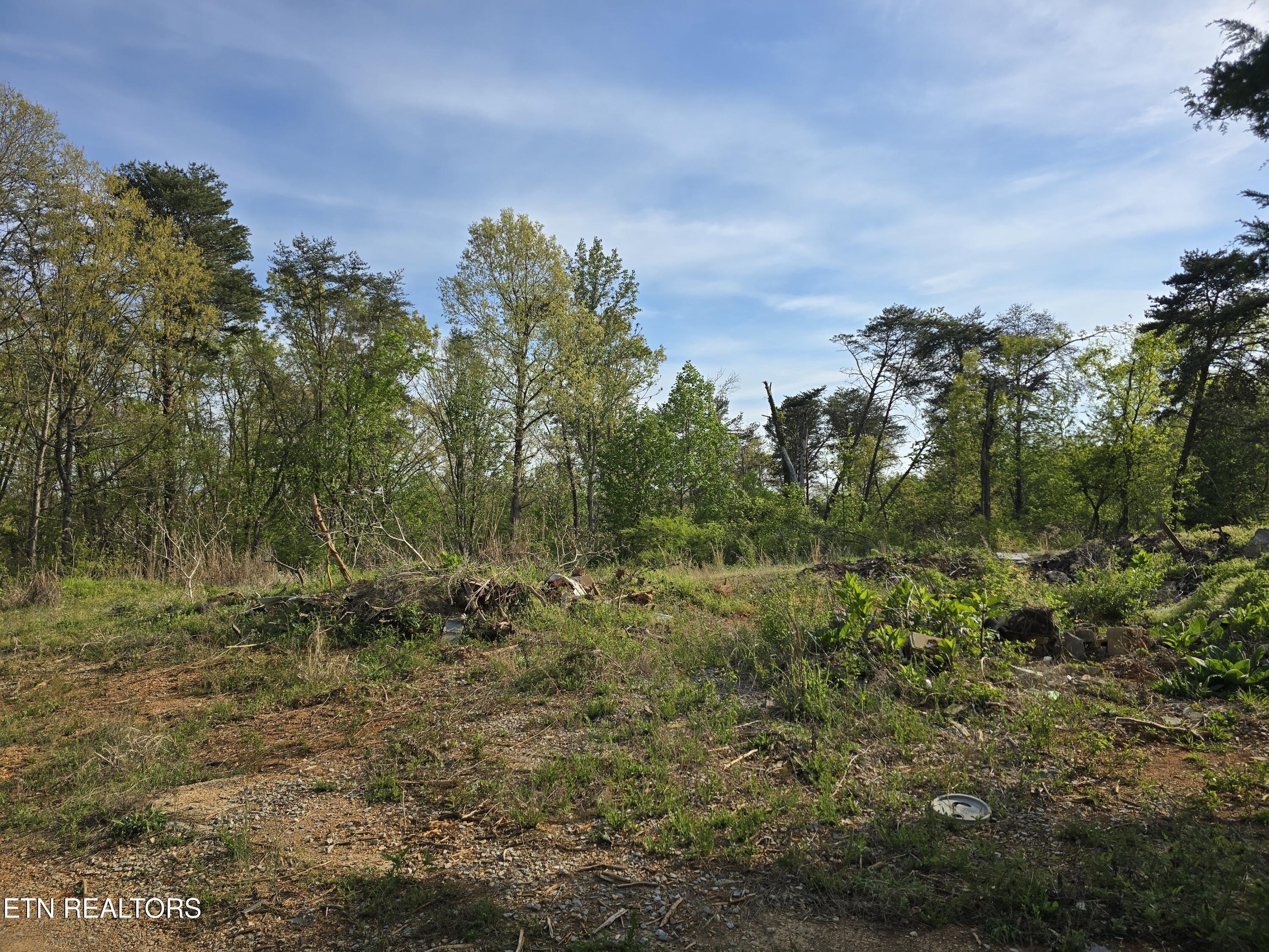 3697 Jackson Bend Rd, Lenoir City, TN - Fort Loudoun and Tellico Lake Real Estate - Image# 7