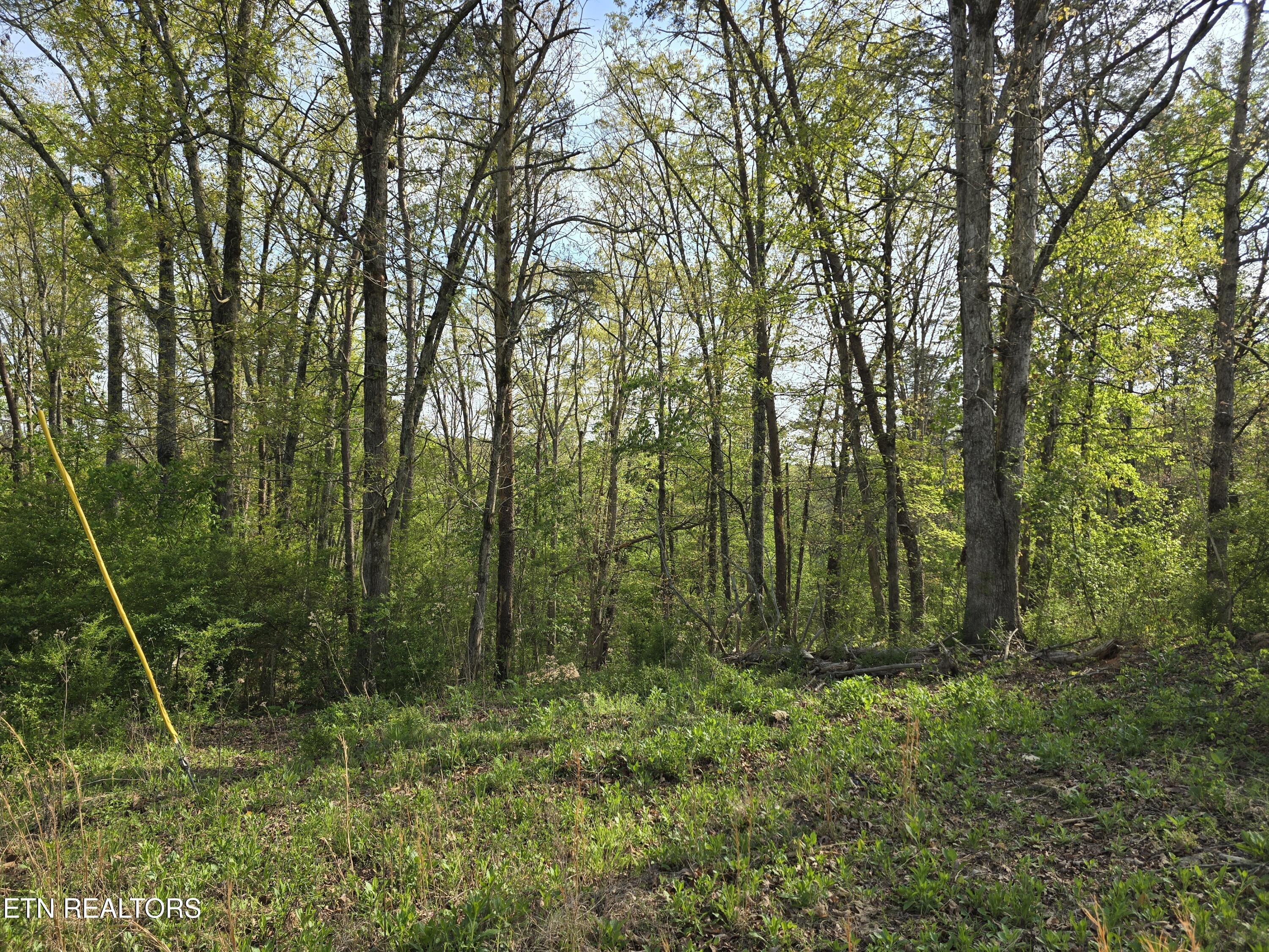 3697 Jackson Bend Rd, Lenoir City, TN - Fort Loudoun and Tellico Lake Real Estate - Image# 18