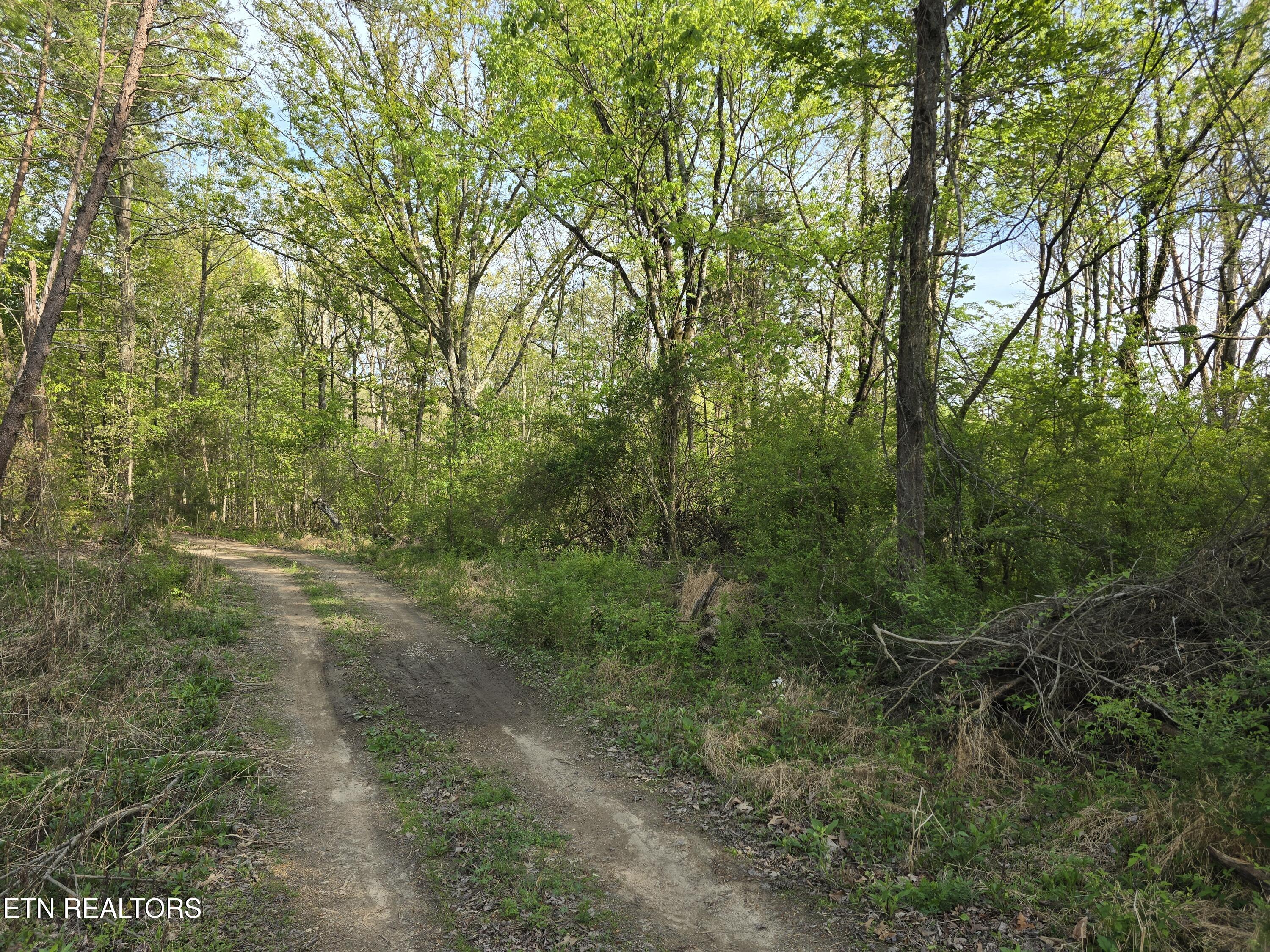 3697 Jackson Bend Rd, Lenoir City, TN - Fort Loudoun and Tellico Lake Real Estate - Image# 10