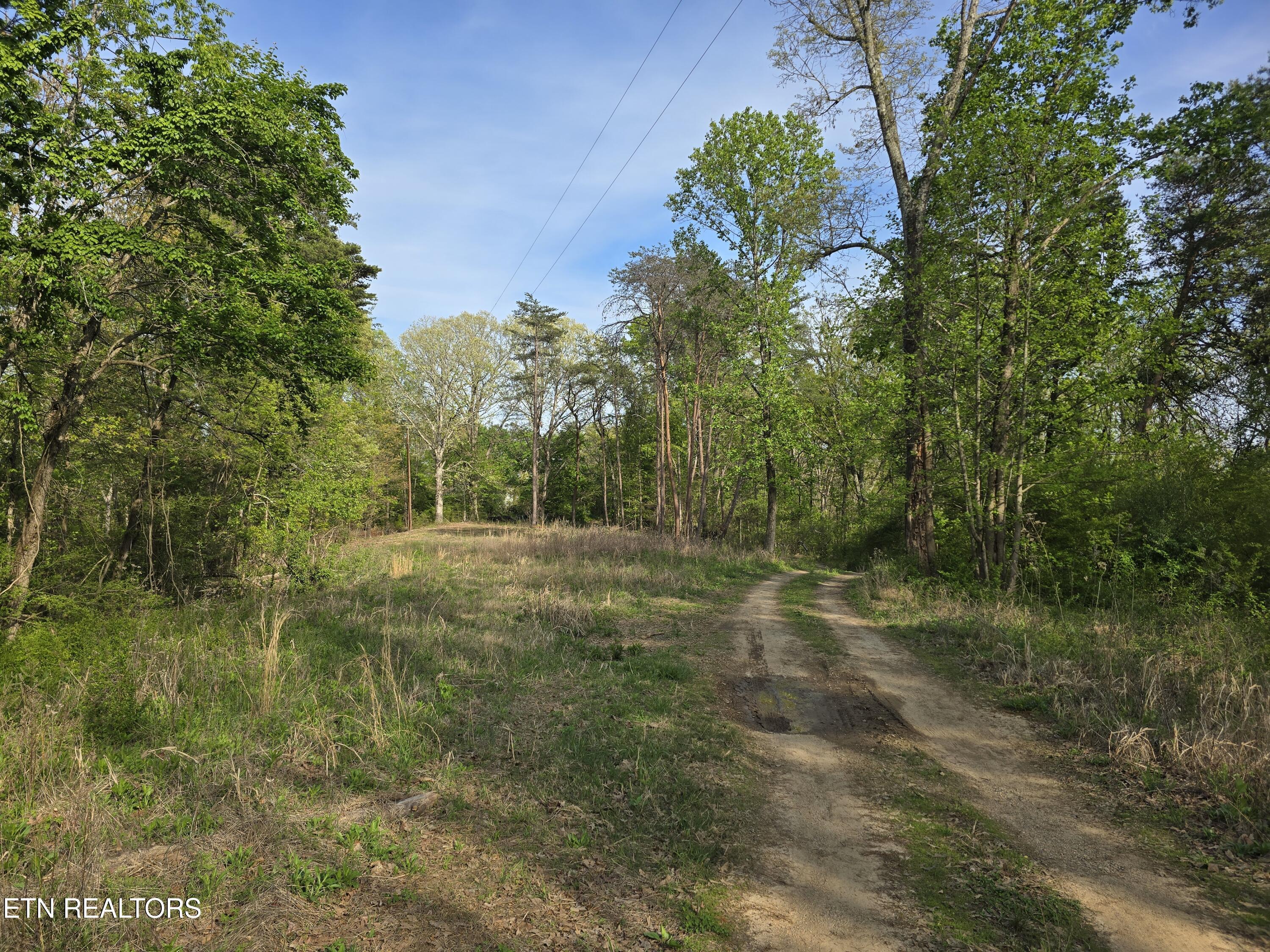 3697 Jackson Bend Rd, Lenoir City, TN - Fort Loudoun and Tellico Lake Real Estate - Image# 9