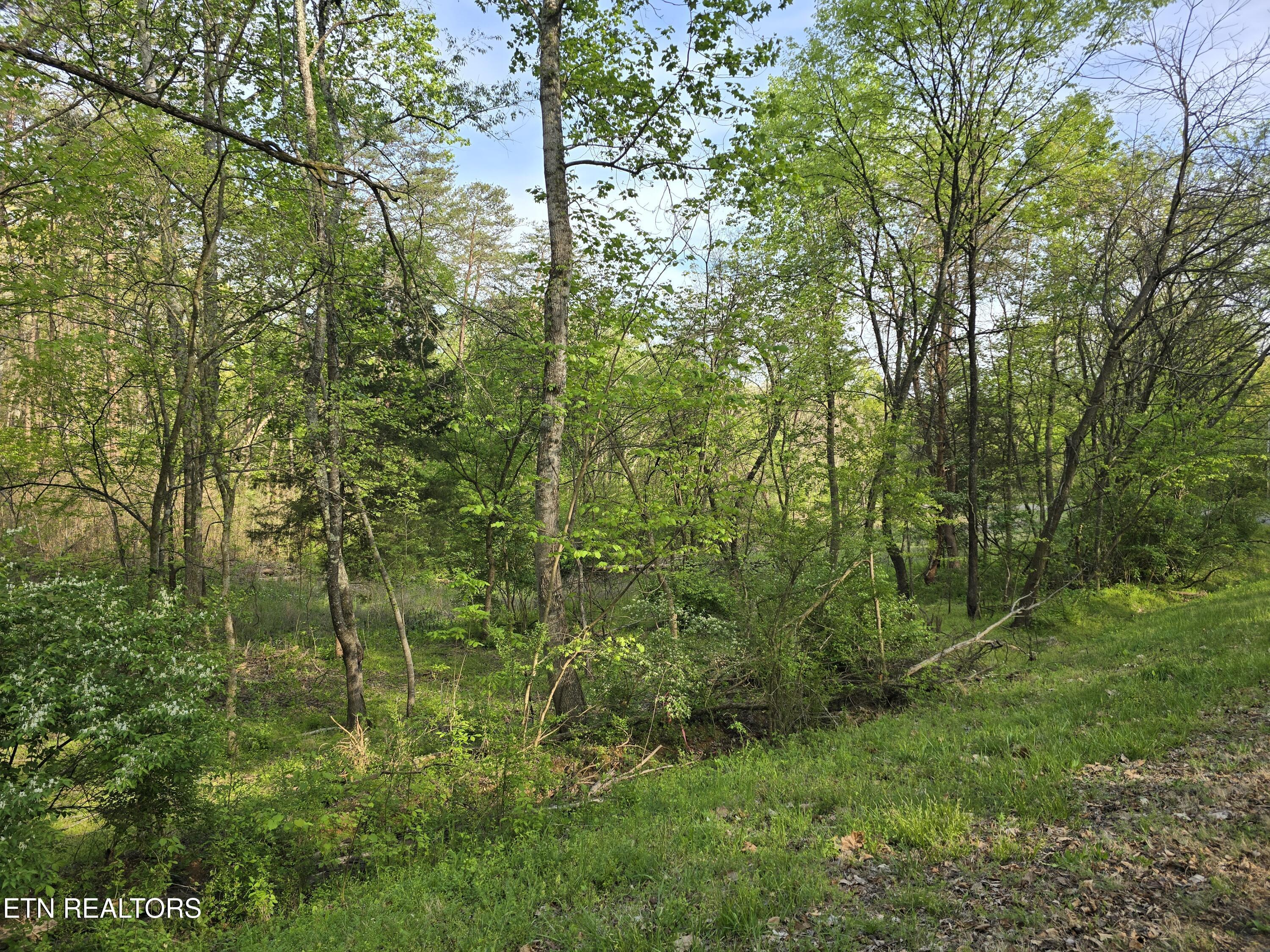 3697 Jackson Bend Rd, Lenoir City, TN - Fort Loudoun and Tellico Lake Real Estate - Image# 19