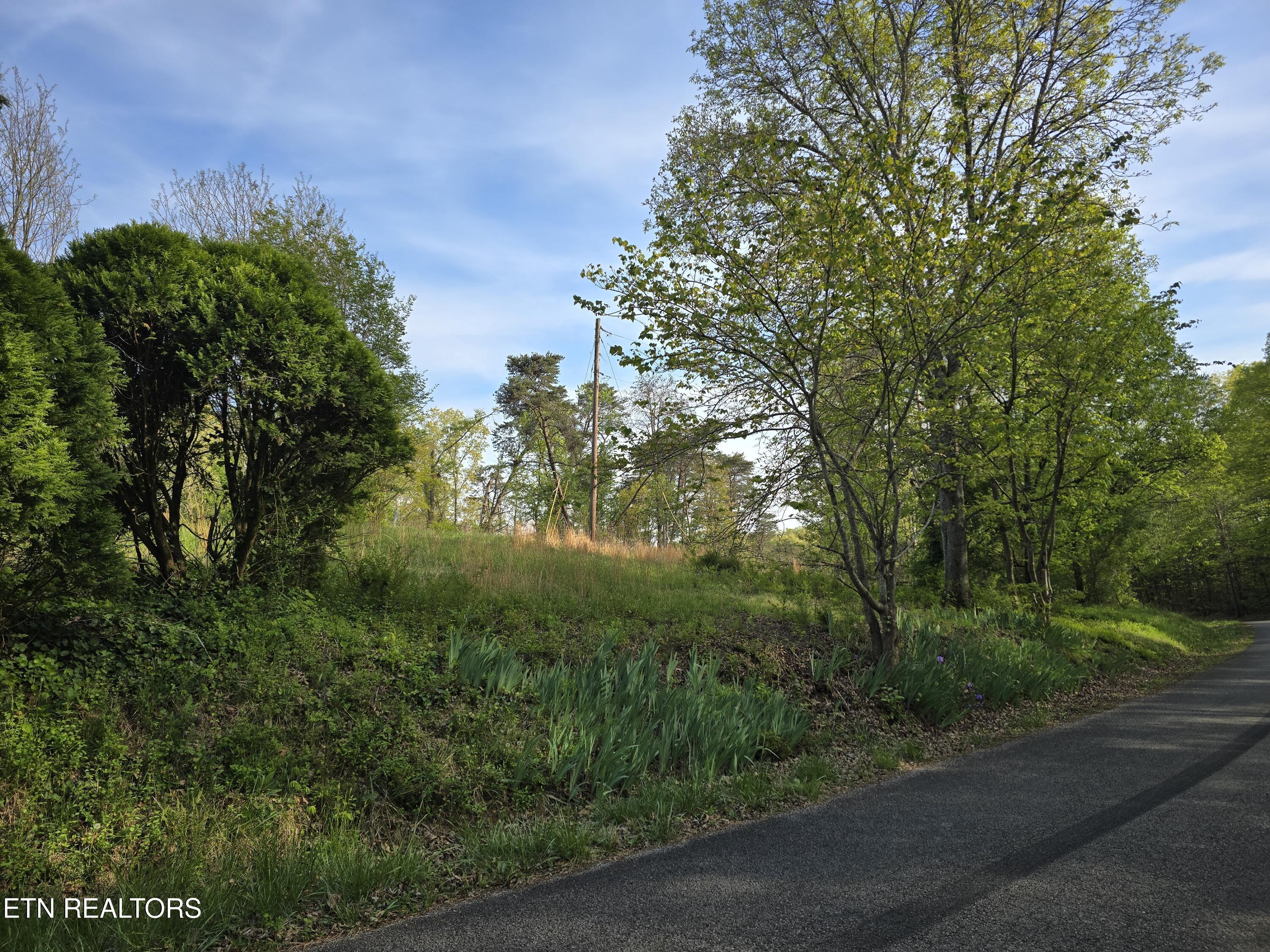 3697 Jackson Bend Rd, Lenoir City, TN - Fort Loudoun and Tellico Lake Real Estate - Image# 12