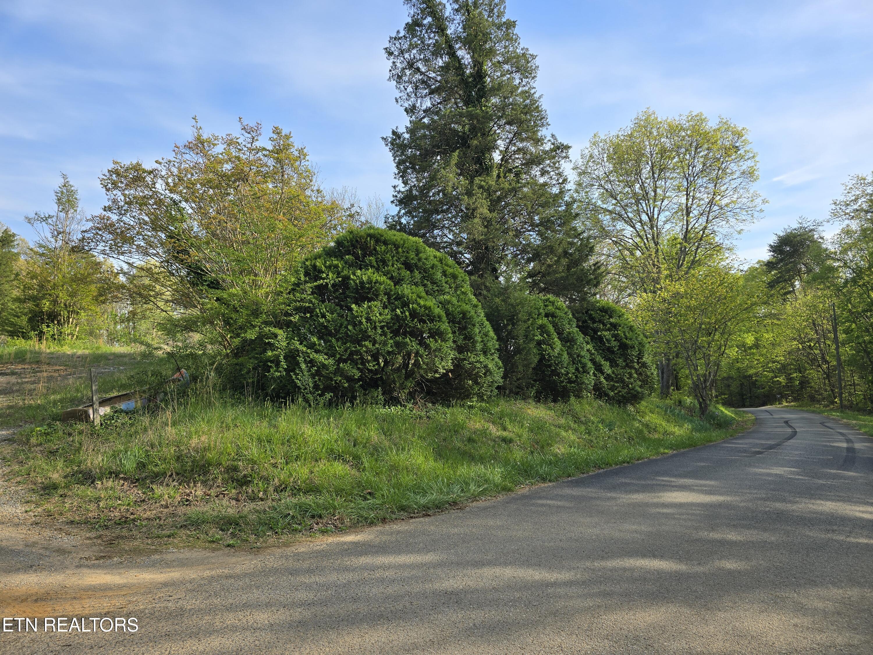 3697 Jackson Bend Rd, Lenoir City, TN - Fort Loudoun and Tellico Lake Real Estate - Image# 11