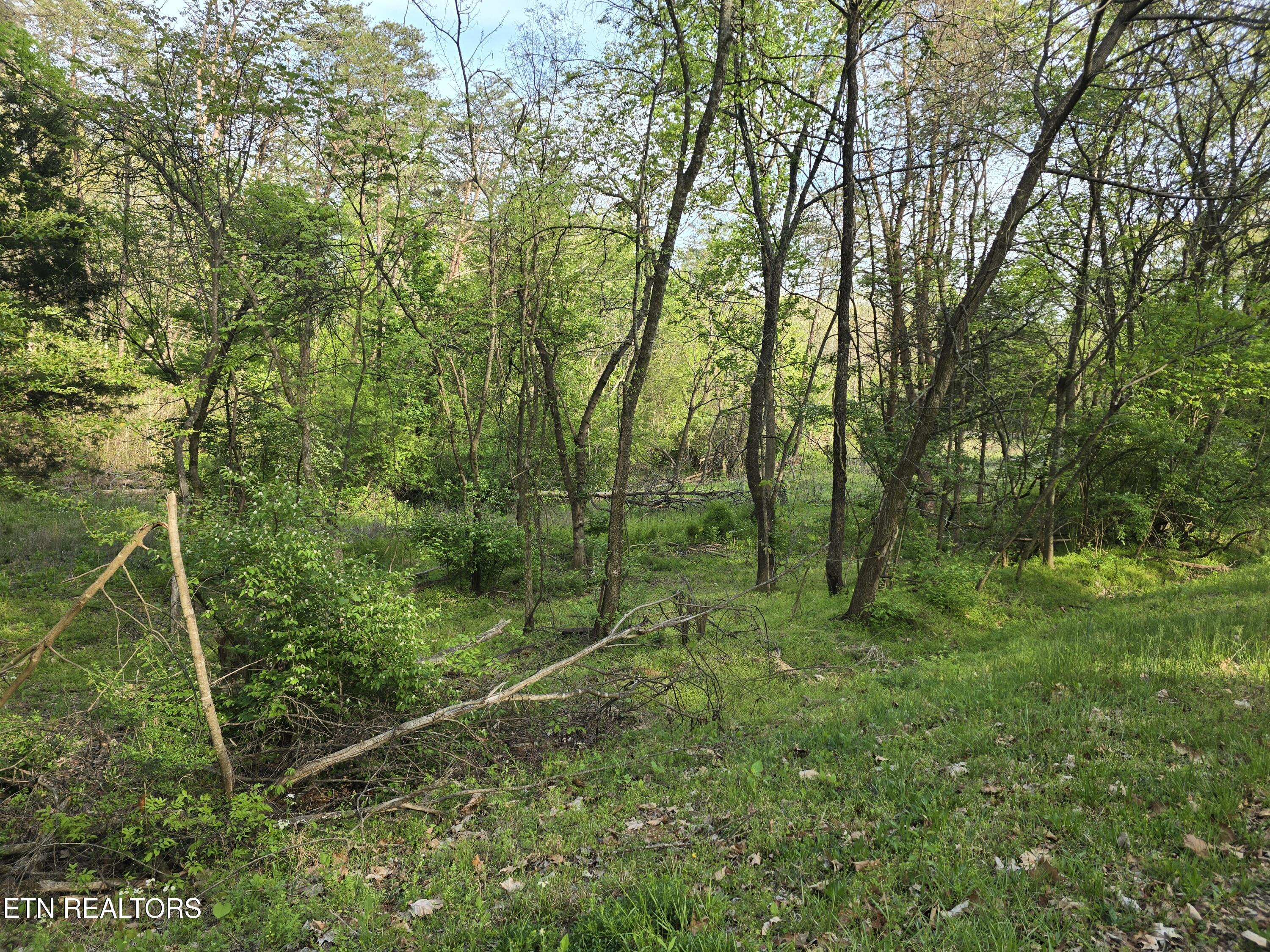 3697 Jackson Bend Rd, Lenoir City, TN - Fort Loudoun and Tellico Lake Real Estate - Image# 20