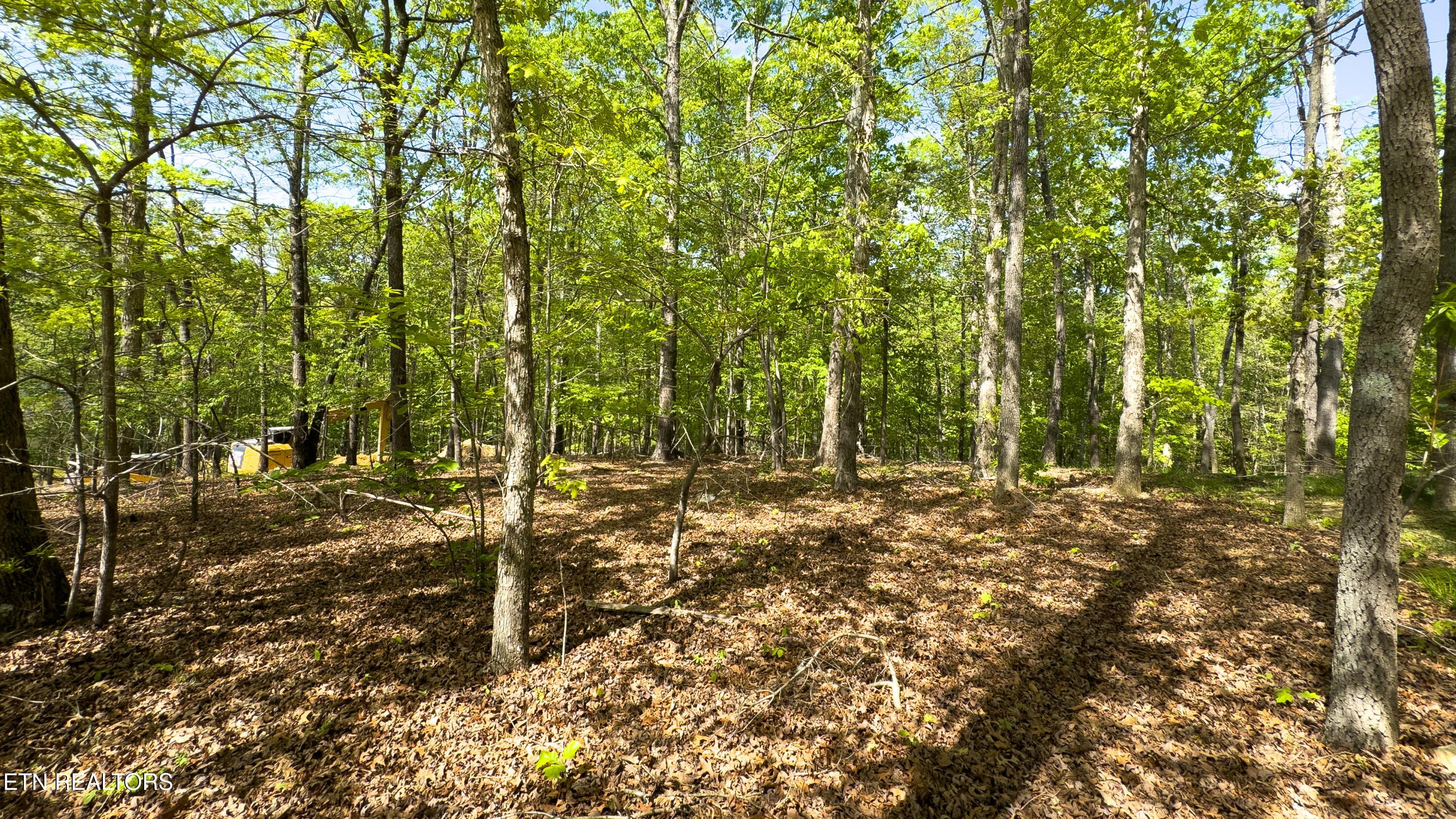 Fort Loudoun and Tellico Lake Real Estate - Image# 2