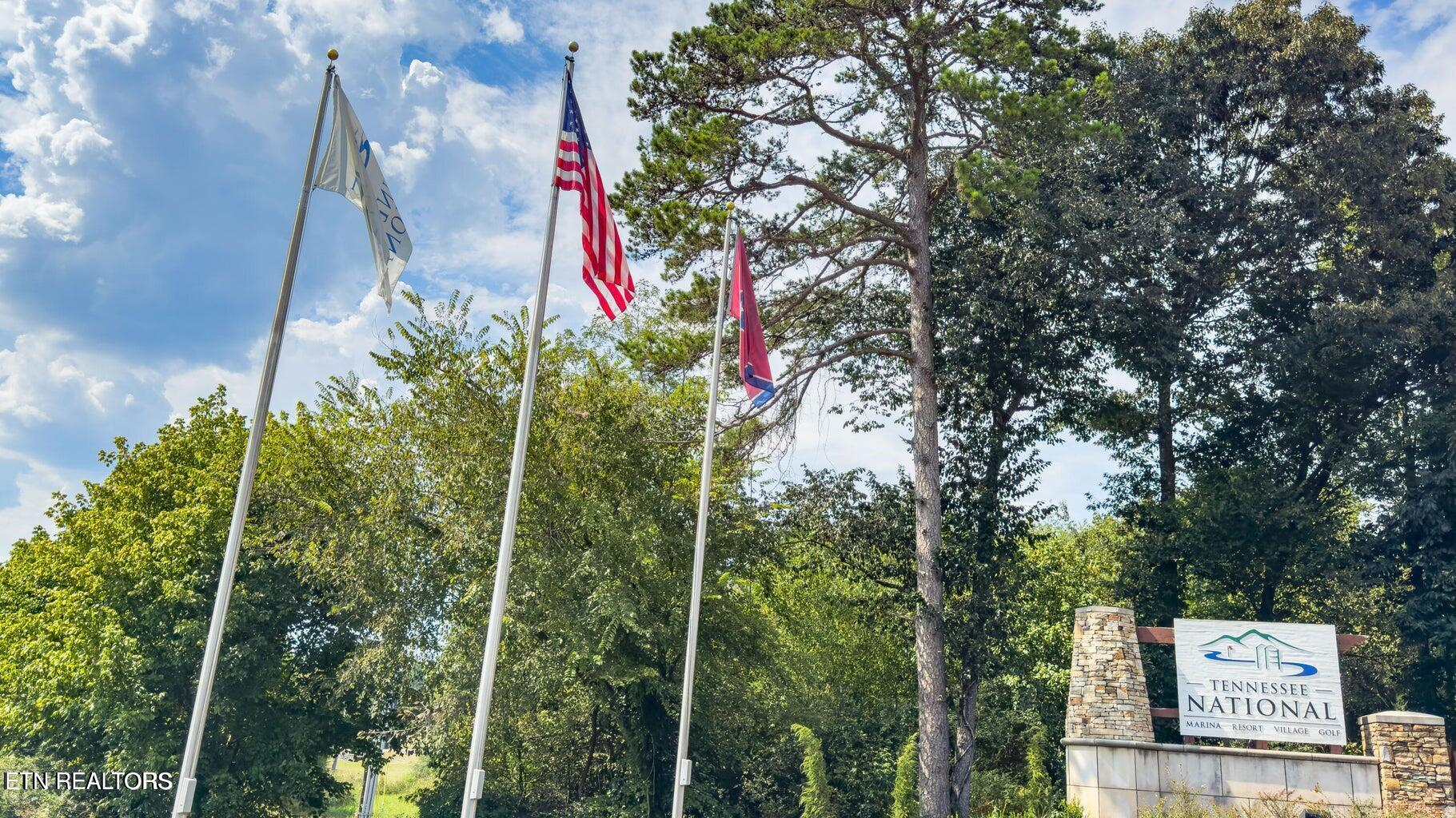 Fort Loudoun and Tellico Lake Real Estate - Image# 16