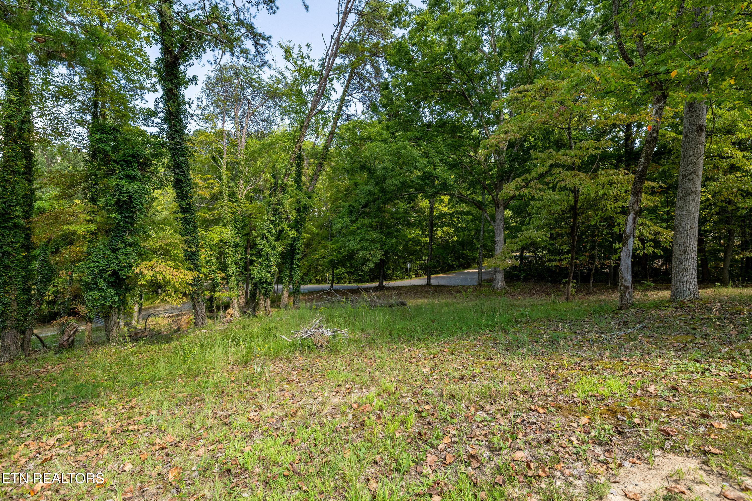 268 Mountain View Drive, Vonore, TN - Fort Loudoun and Tellico Lake Real Estate - Image# 34
