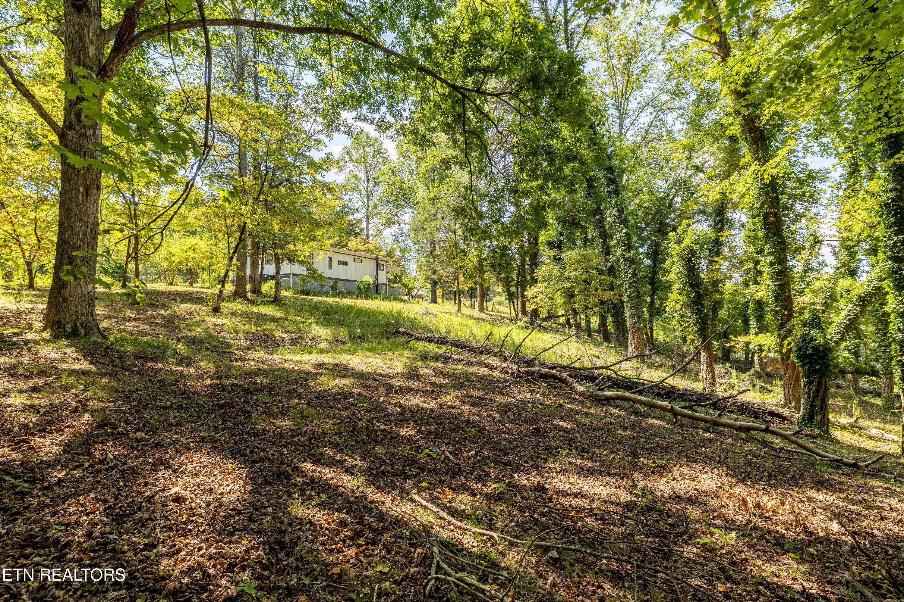 268 Mountain View Drive, Vonore, TN - Fort Loudoun and Tellico Lake Real Estate - Image# 38
