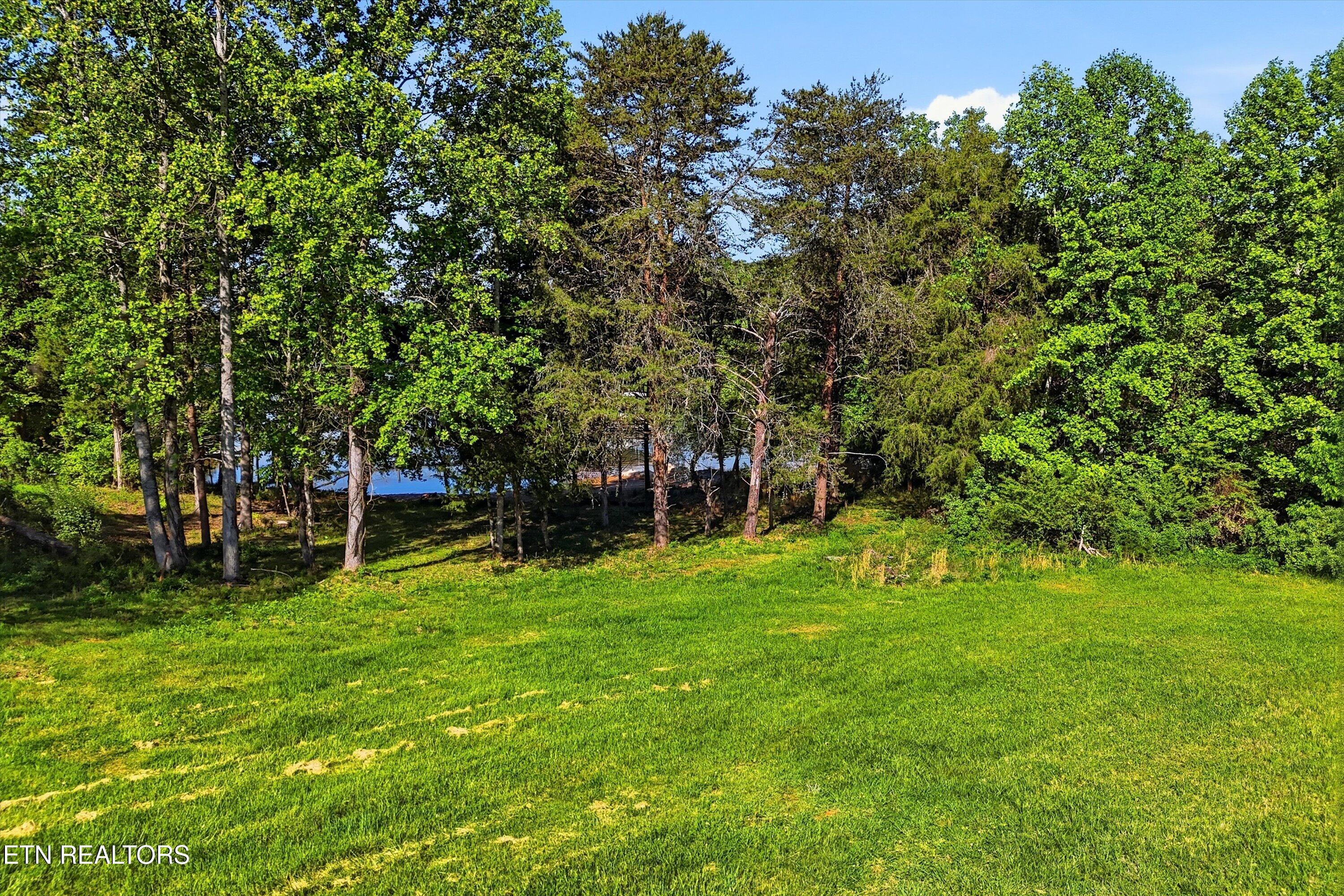 Fort Loudoun and Tellico Lake Real Estate - Image# 30