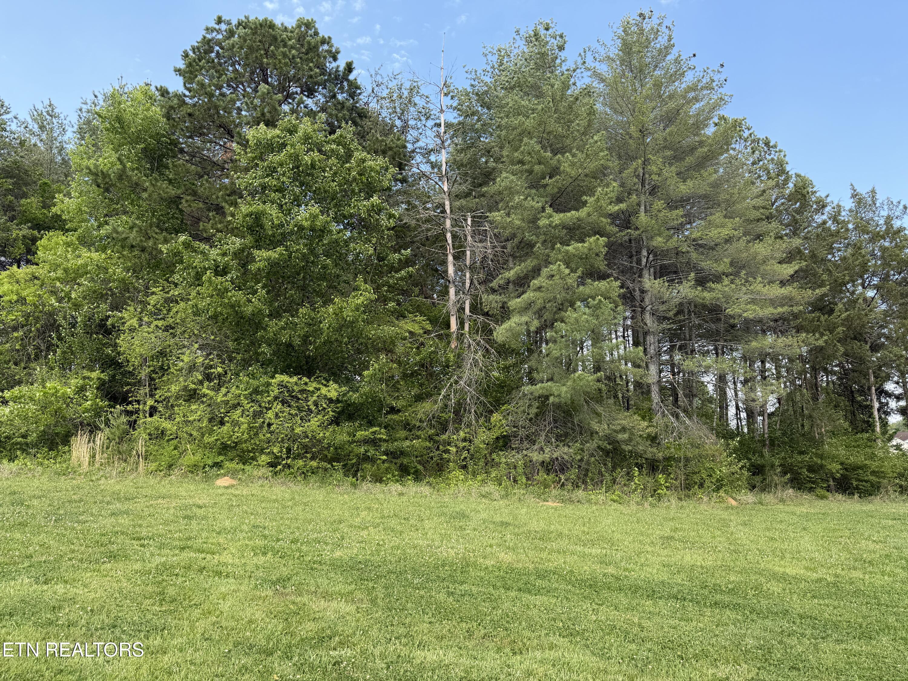 Fort Loudoun and Tellico Lake Real Estate - Image# 3