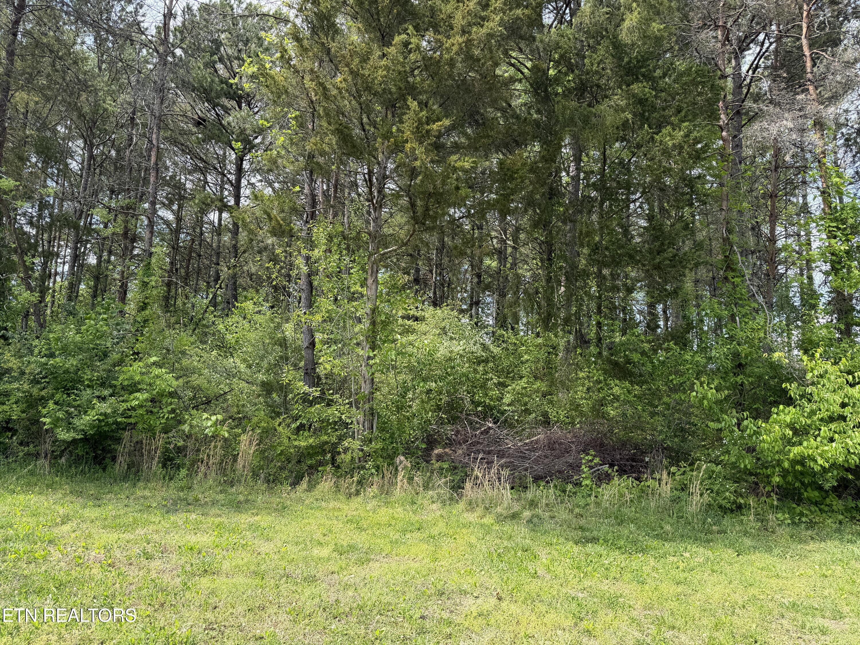 Fort Loudoun and Tellico Lake Real Estate - Image# 10