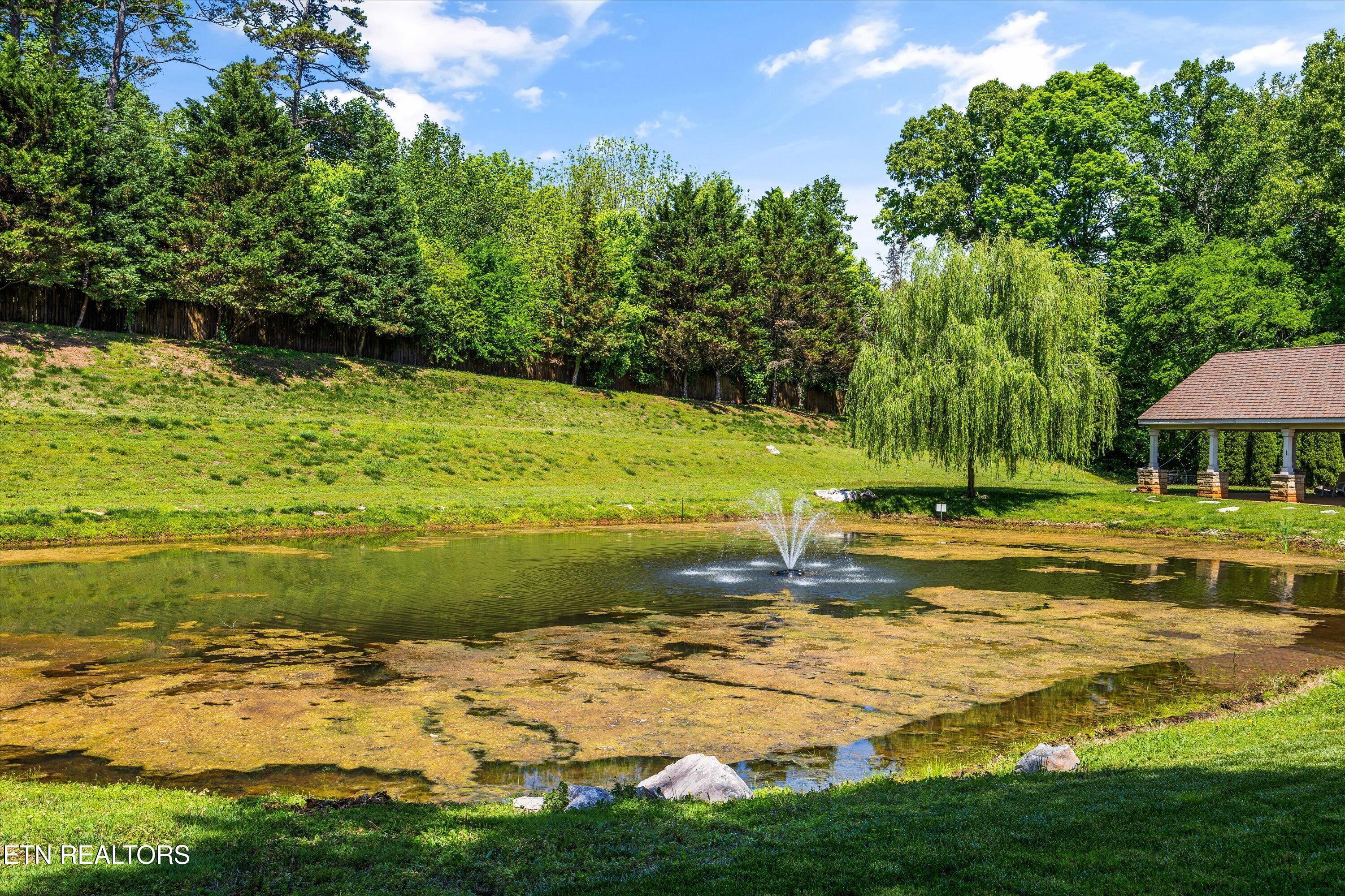 Fort Loudoun and Tellico Lake Real Estate - Image# 41