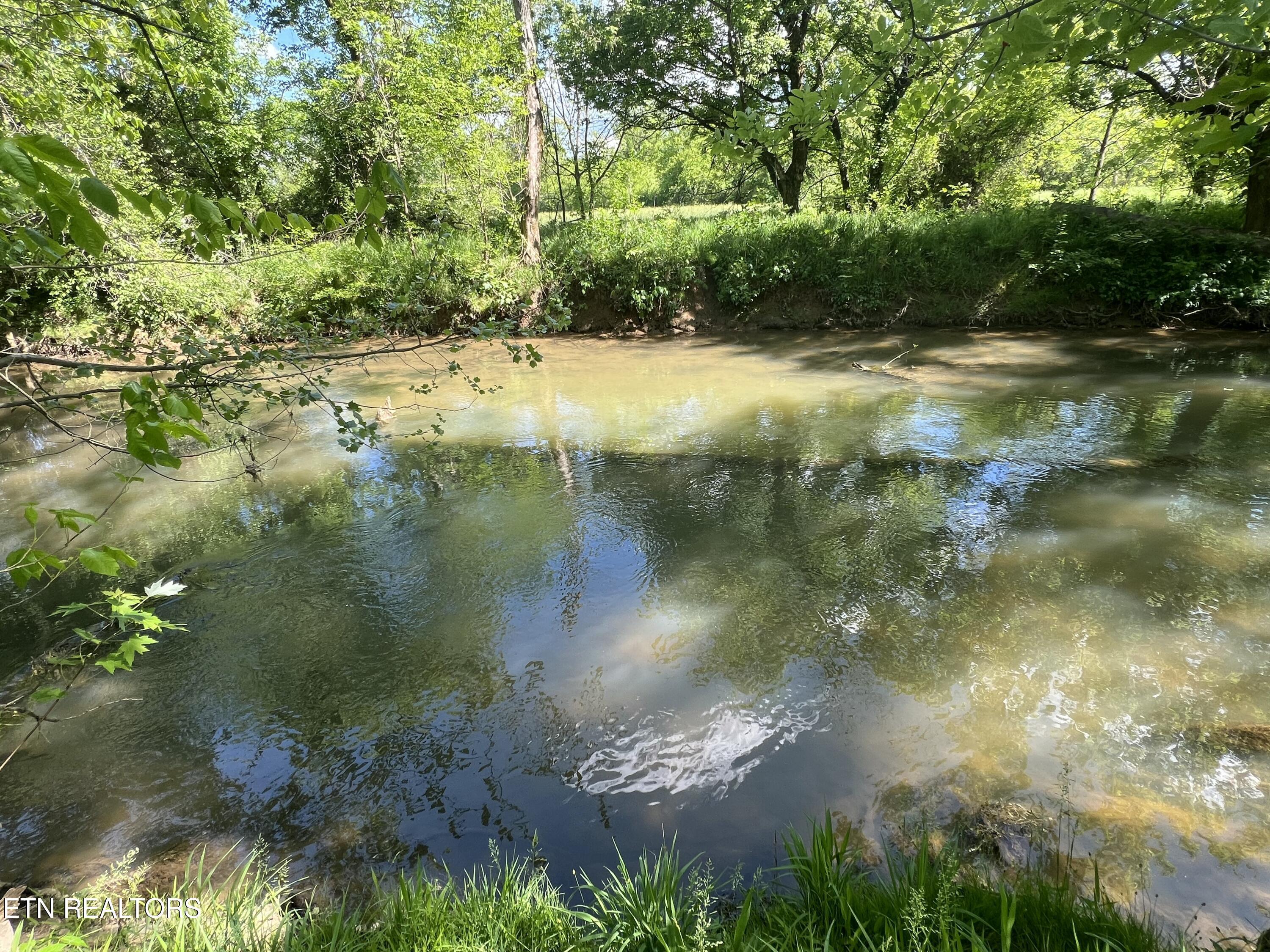 Fort Loudoun and Tellico Lake Real Estate - Image# 14