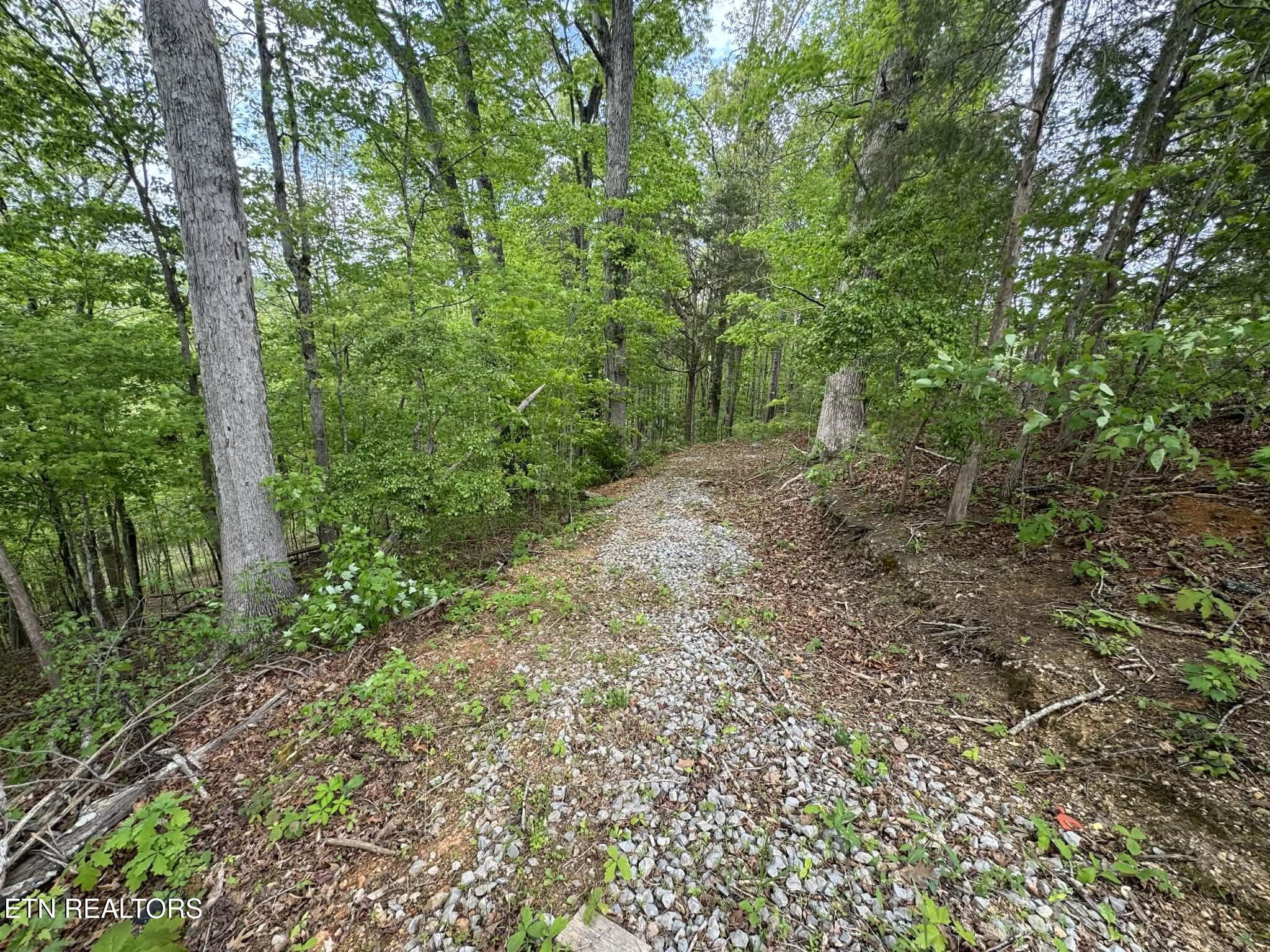 Fort Loudoun and Tellico Lake Real Estate - Image# 2