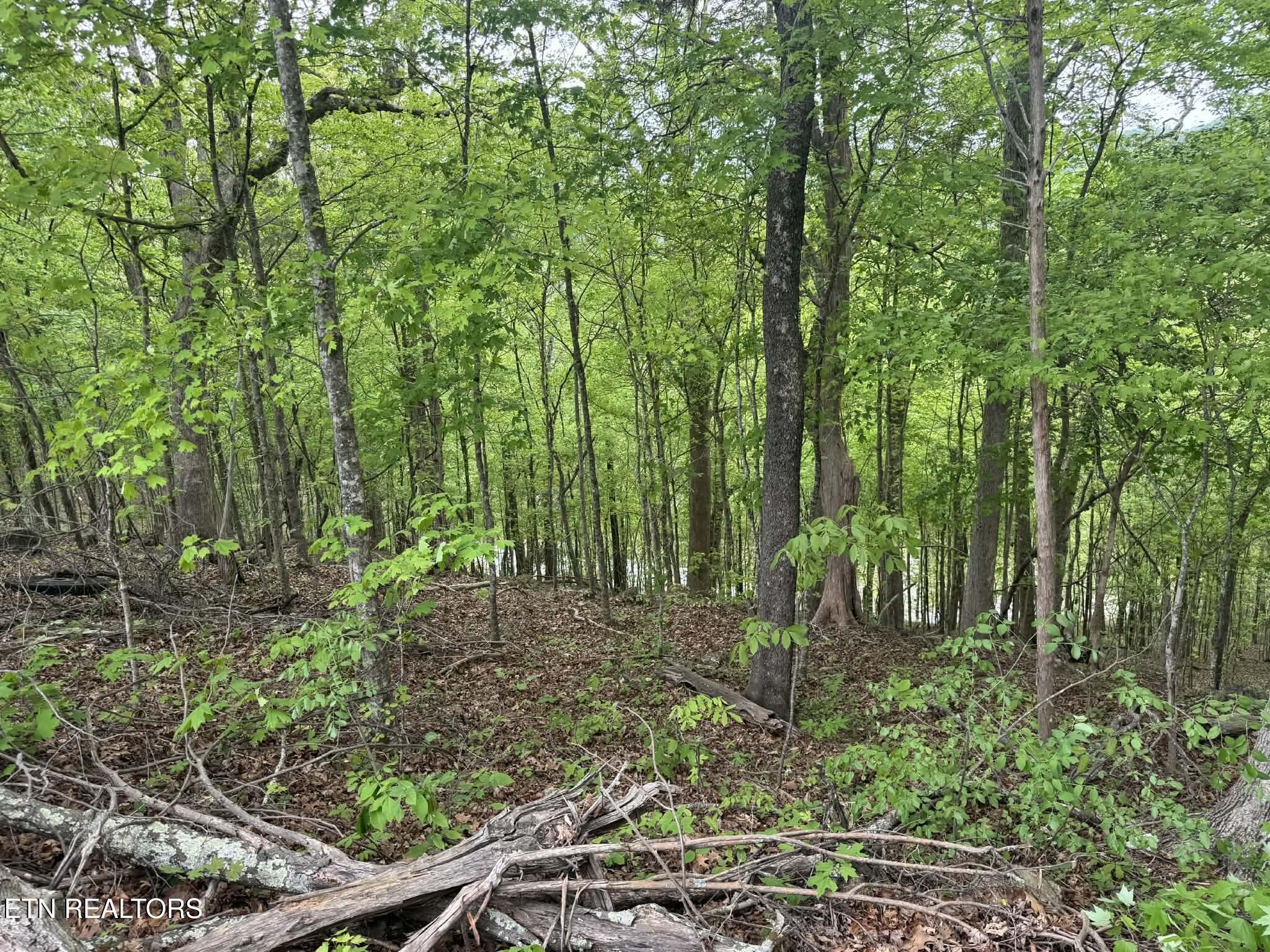 Fort Loudoun and Tellico Lake Real Estate - Image# 3