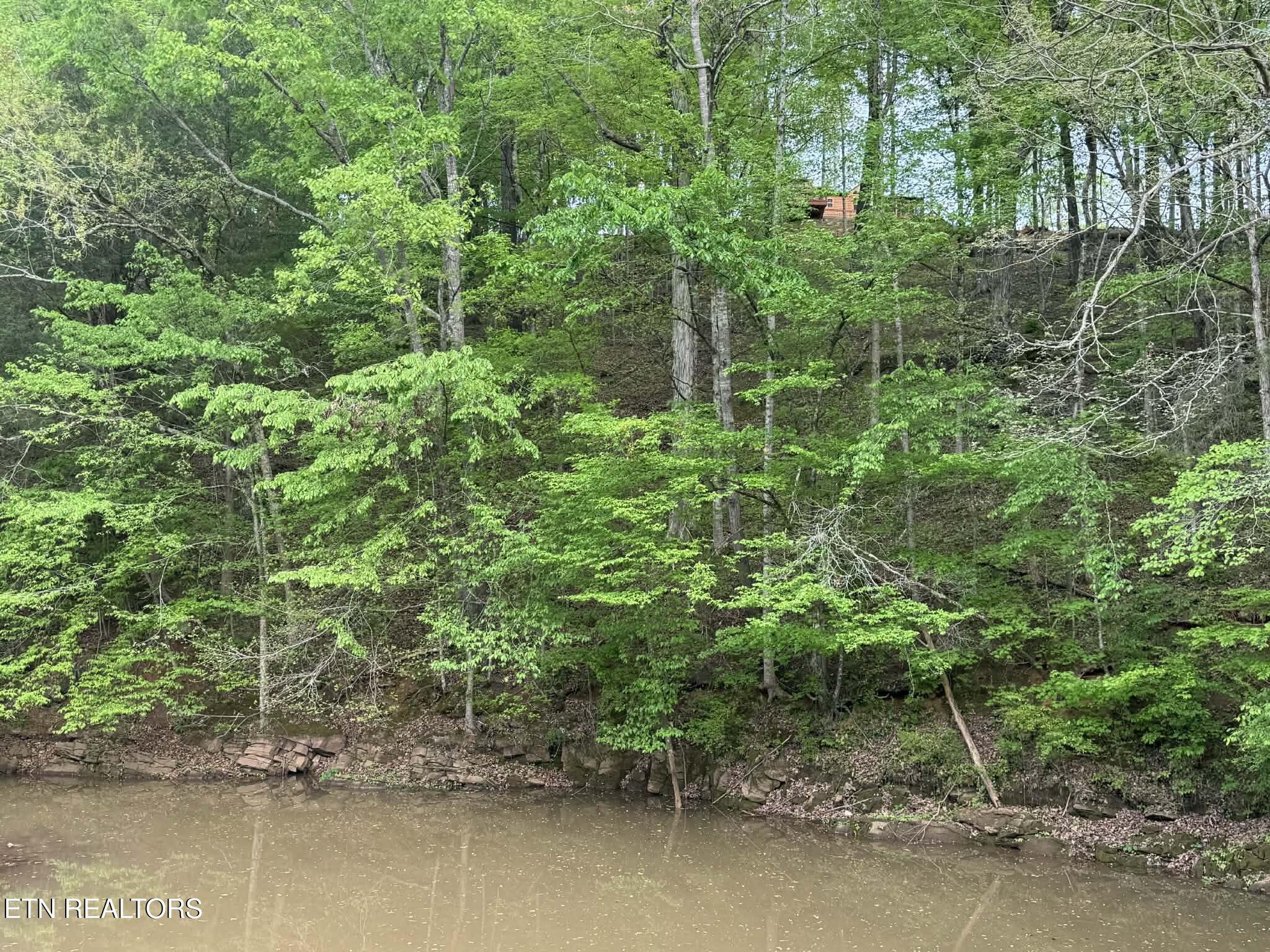 Fort Loudoun and Tellico Lake Real Estate - Image# 6