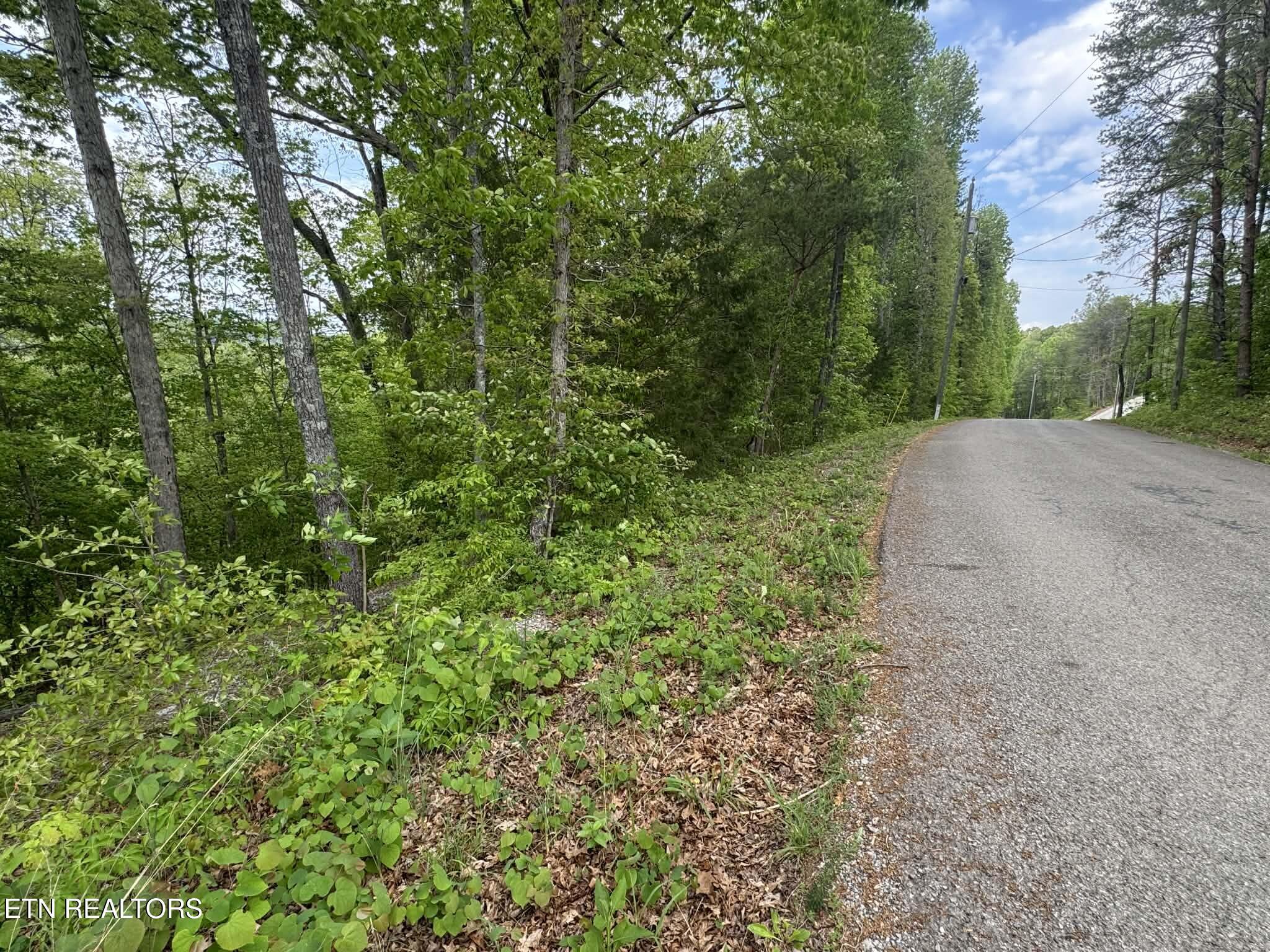 Fort Loudoun and Tellico Lake Real Estate - Image# 9