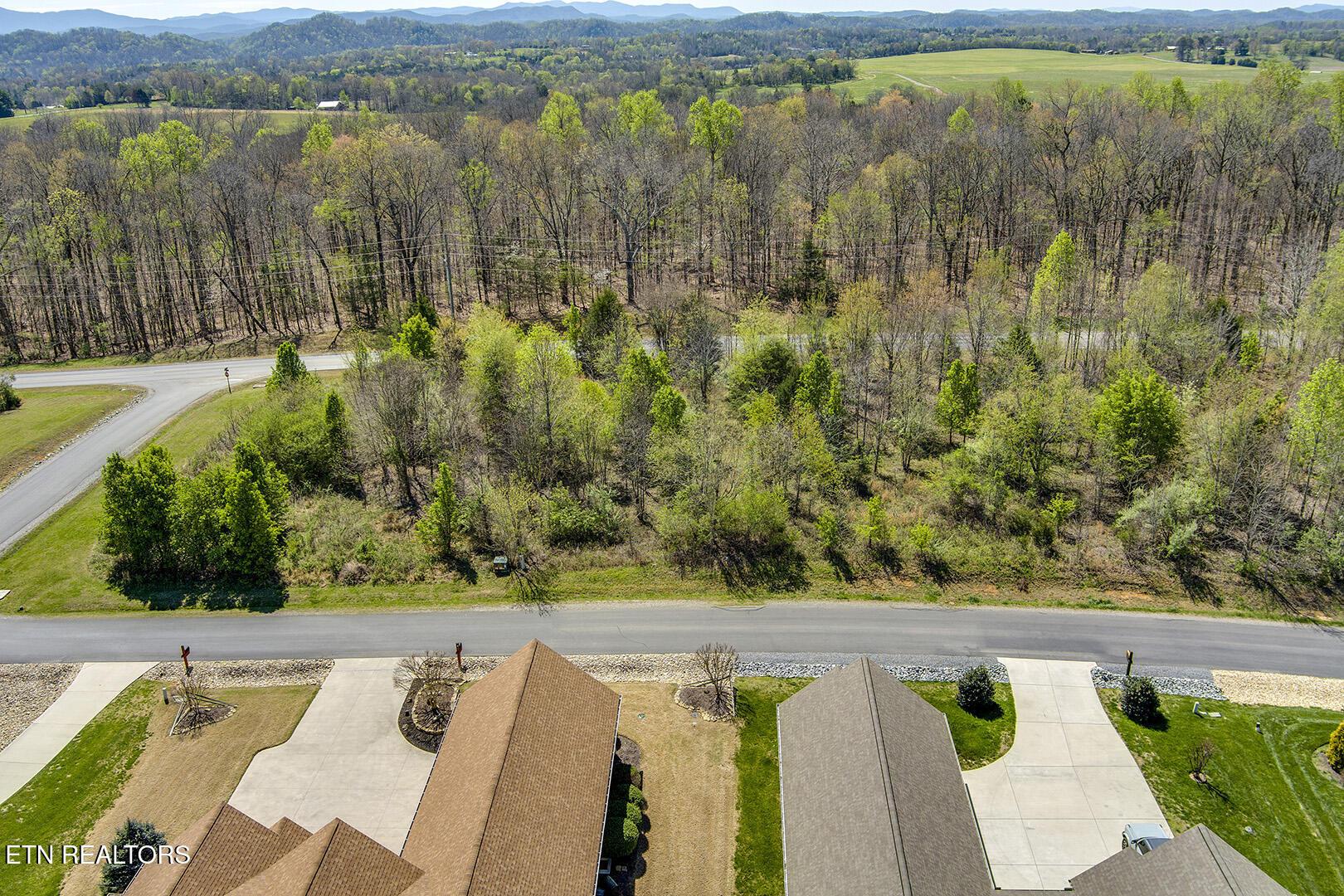 Fort Loudoun and Tellico Lake Real Estate - Image# 2