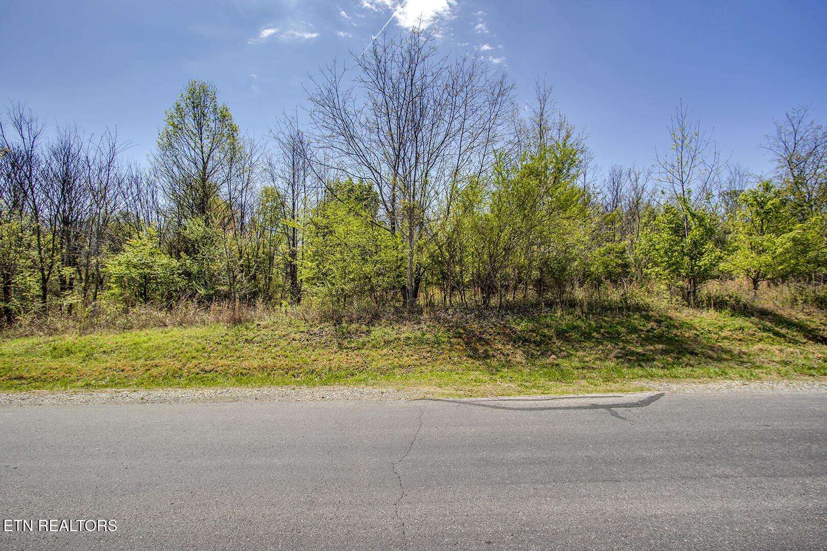 Fort Loudoun and Tellico Lake Real Estate - Image# 3