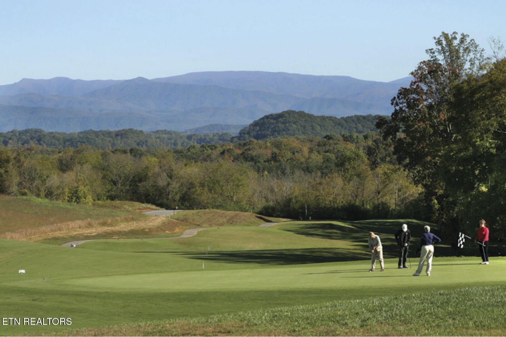 Fort Loudoun and Tellico Lake Real Estate - Image# 25
