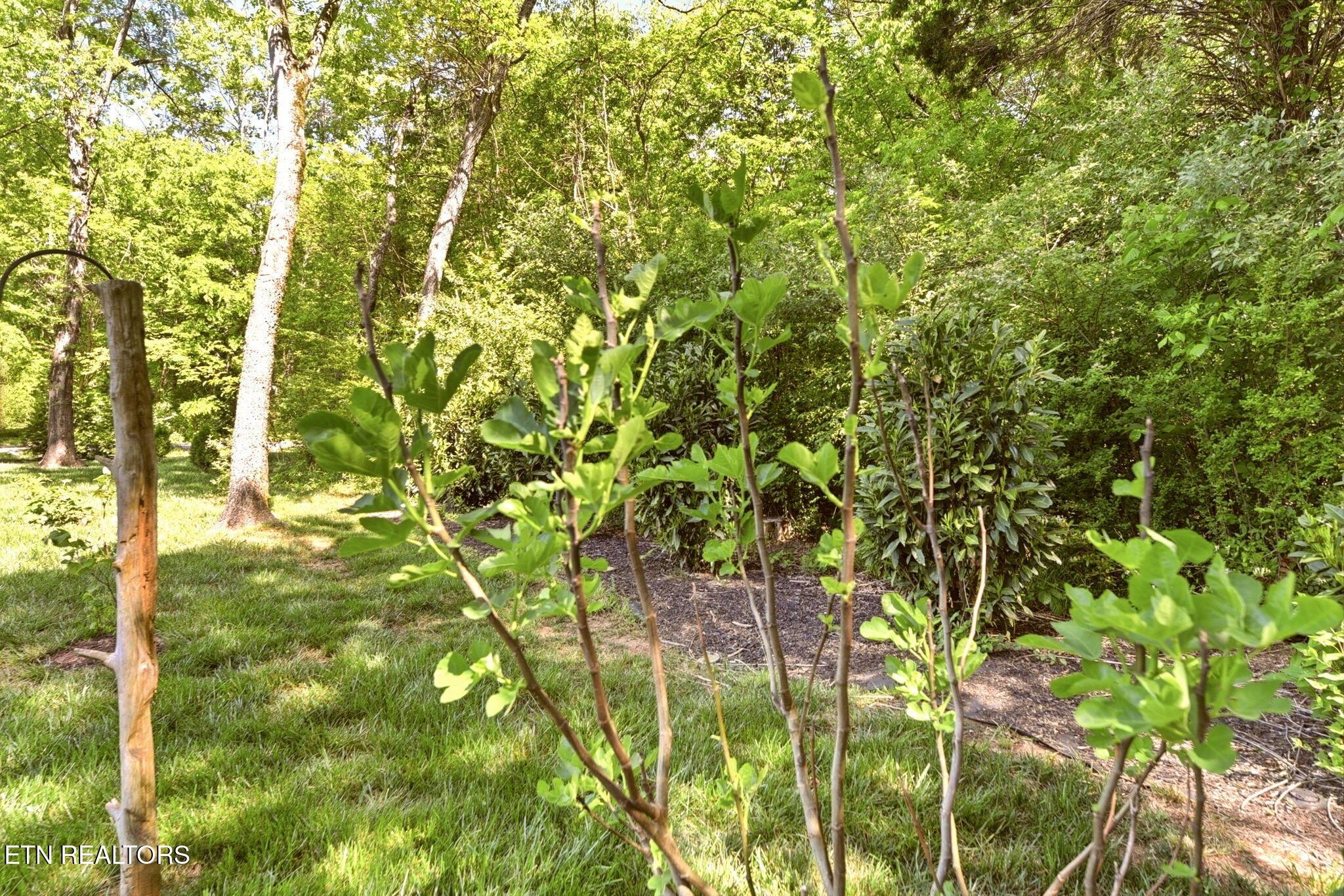 Fort Loudoun and Tellico Lake Real Estate - Image# 6