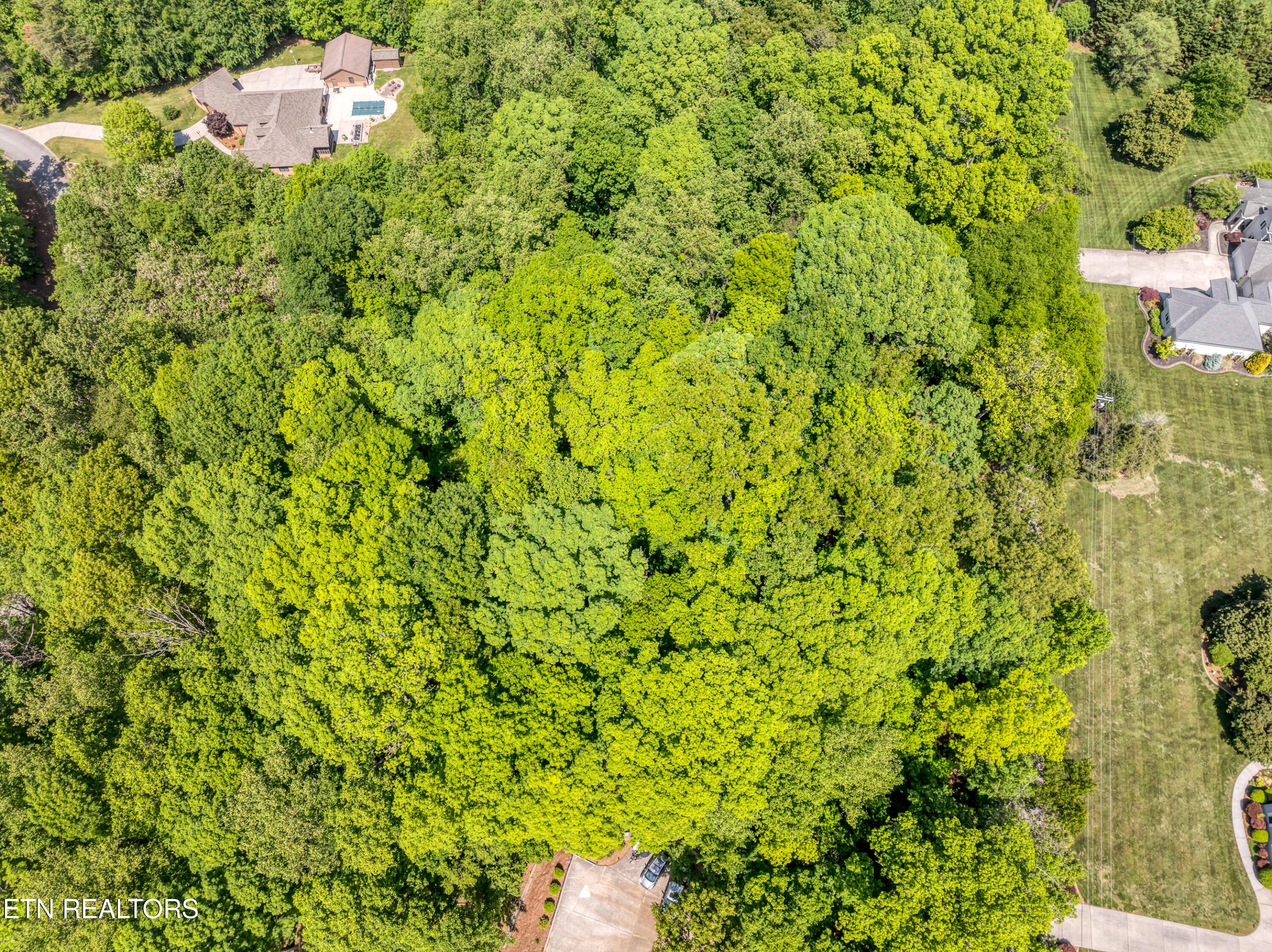 Gravelly Hills/Forrest Ridge, Louisville, TN - Fort Loudoun and Tellico Lake Real Estate - Image# 3