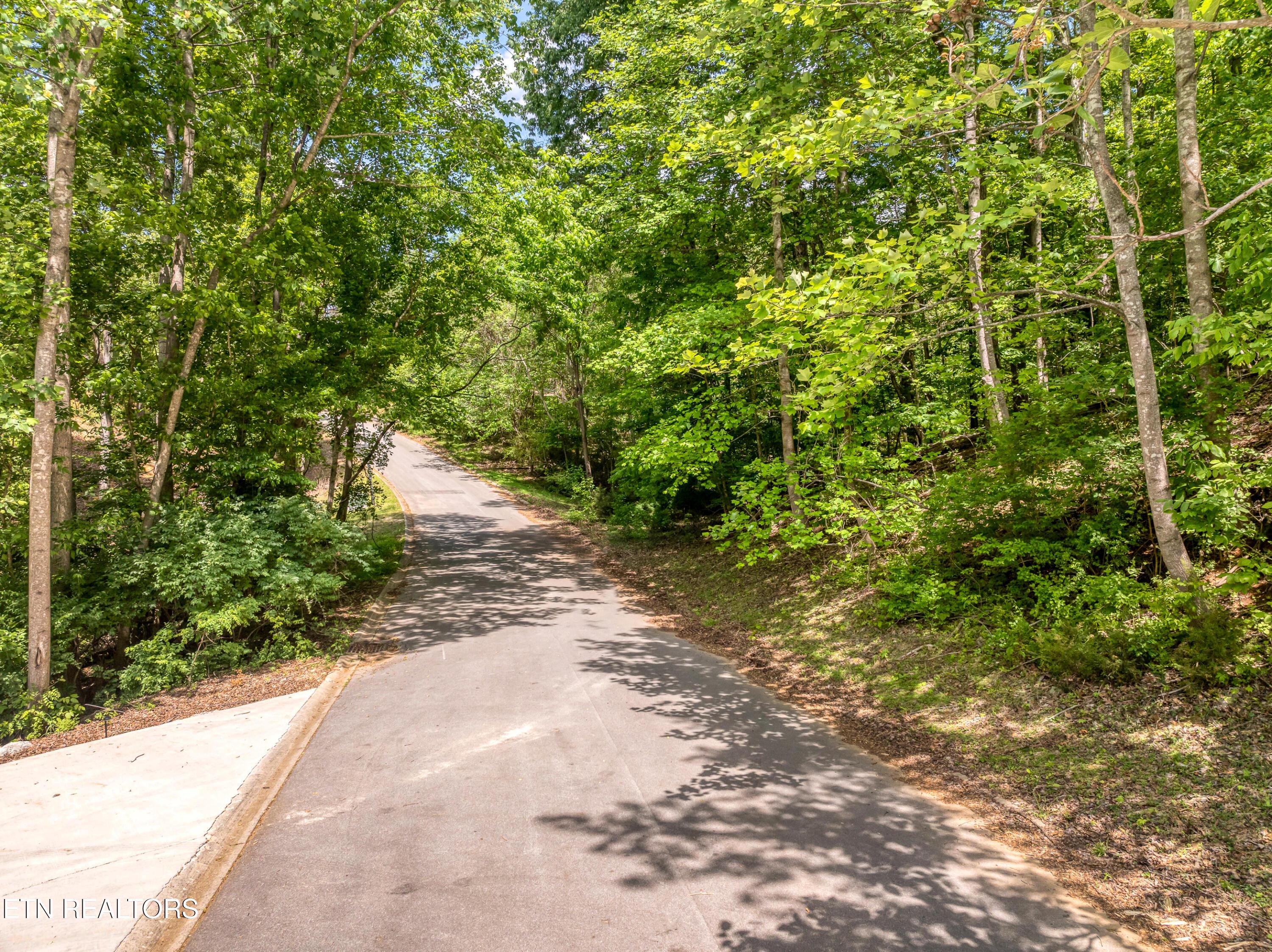 Gravelly Hills/Forrest Ridge, Louisville, TN - Fort Loudoun and Tellico Lake Real Estate - Image# 24