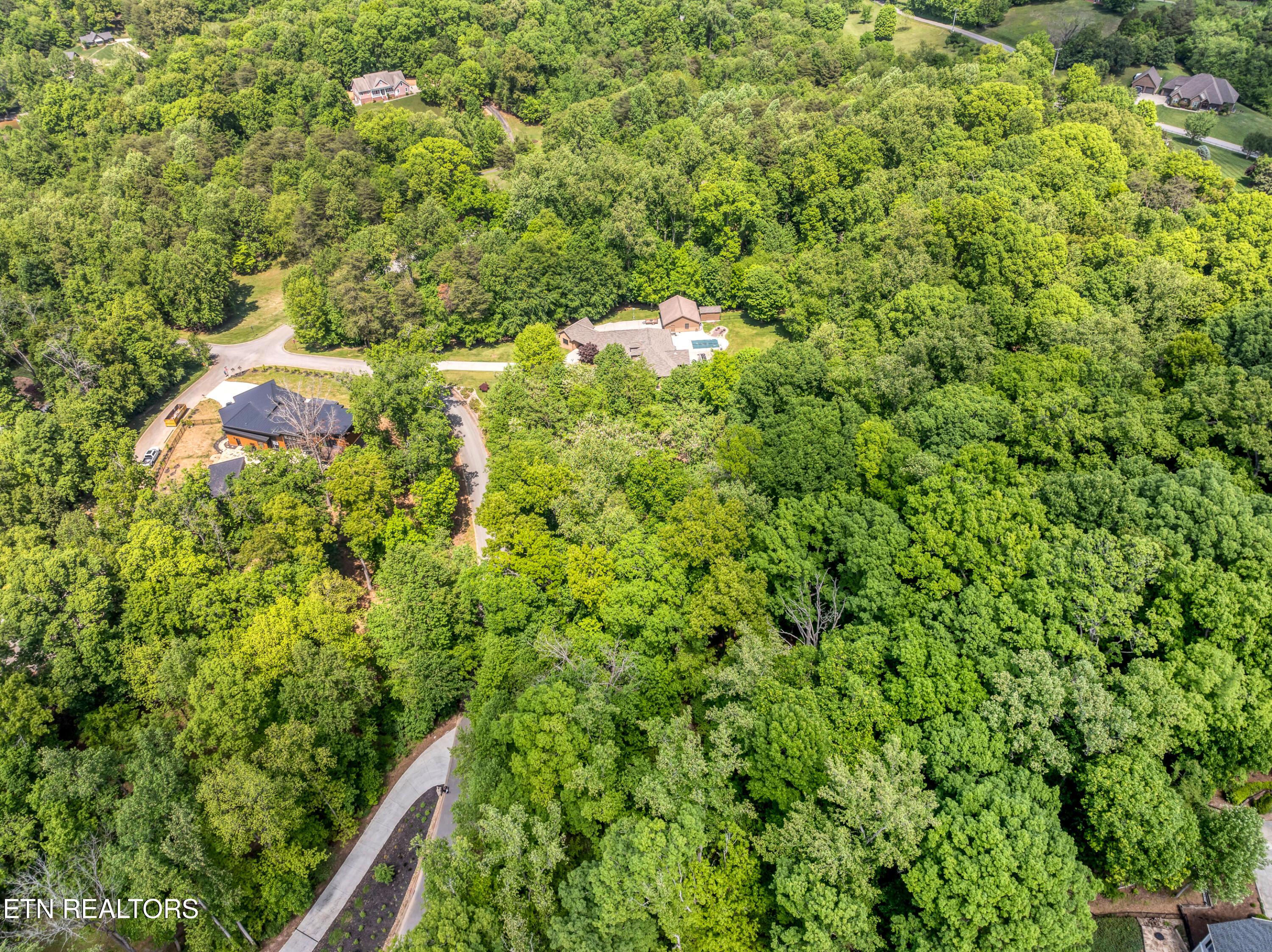 Gravelly Hills/Forrest Ridge, Louisville, TN - Fort Loudoun and Tellico Lake Real Estate - Image# 4