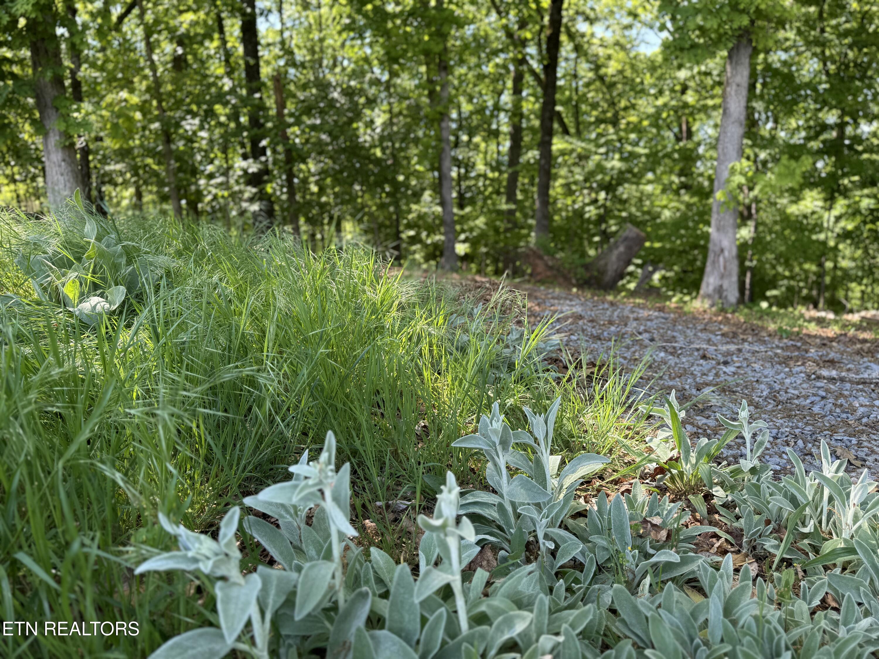 Gravelly Hills/Forrest Ridge, Louisville, TN - Fort Loudoun and Tellico Lake Real Estate - Image# 17