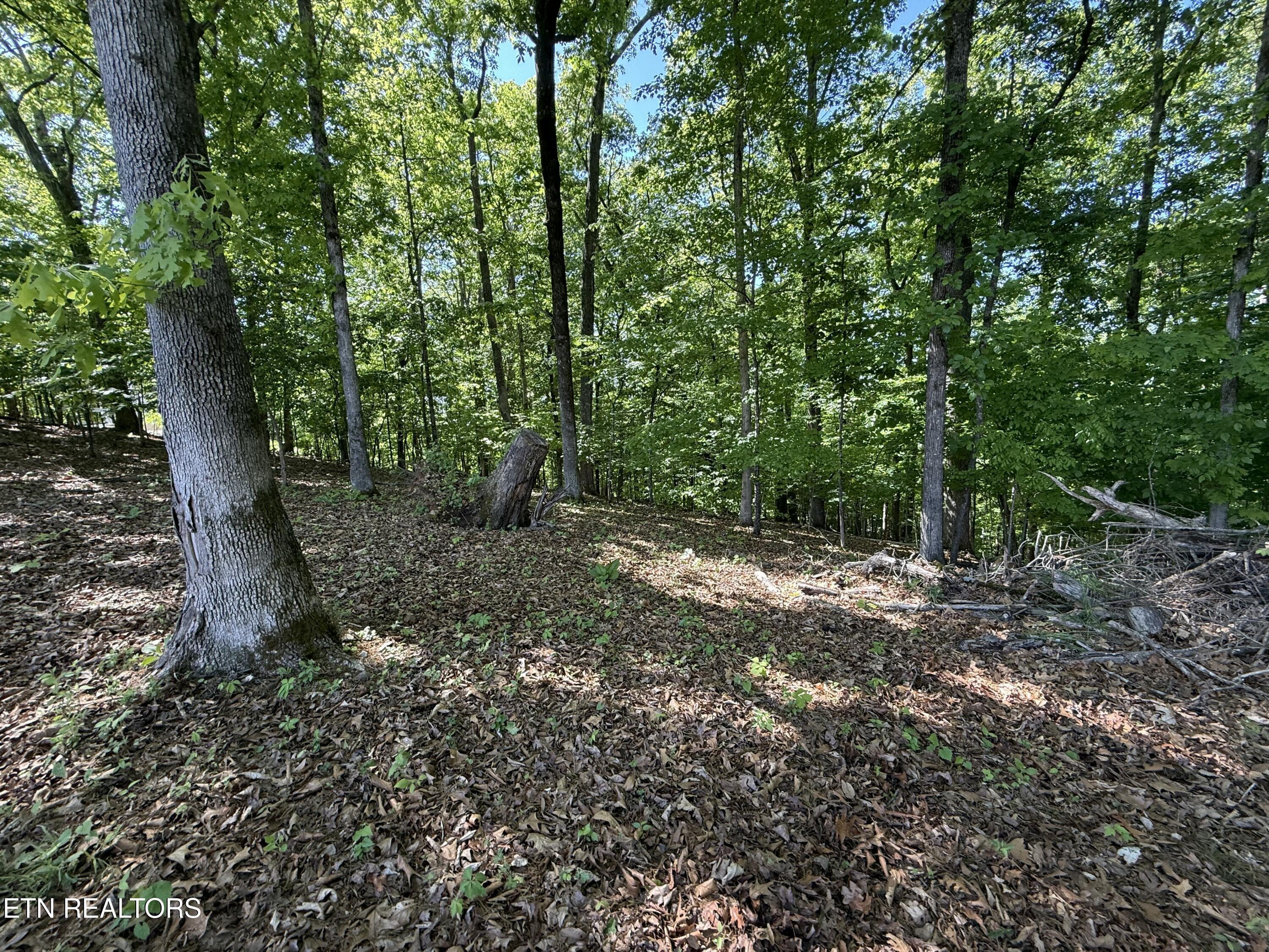 Gravelly Hills/Forrest Ridge, Louisville, TN - Fort Loudoun and Tellico Lake Real Estate - Image# 18