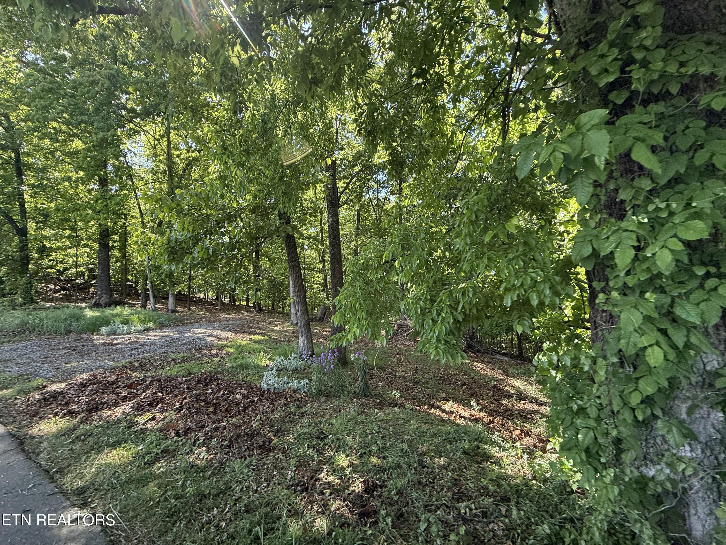 Gravelly Hills/Forrest Ridge, Louisville, TN - Fort Loudoun and Tellico Lake Real Estate - Image# 23