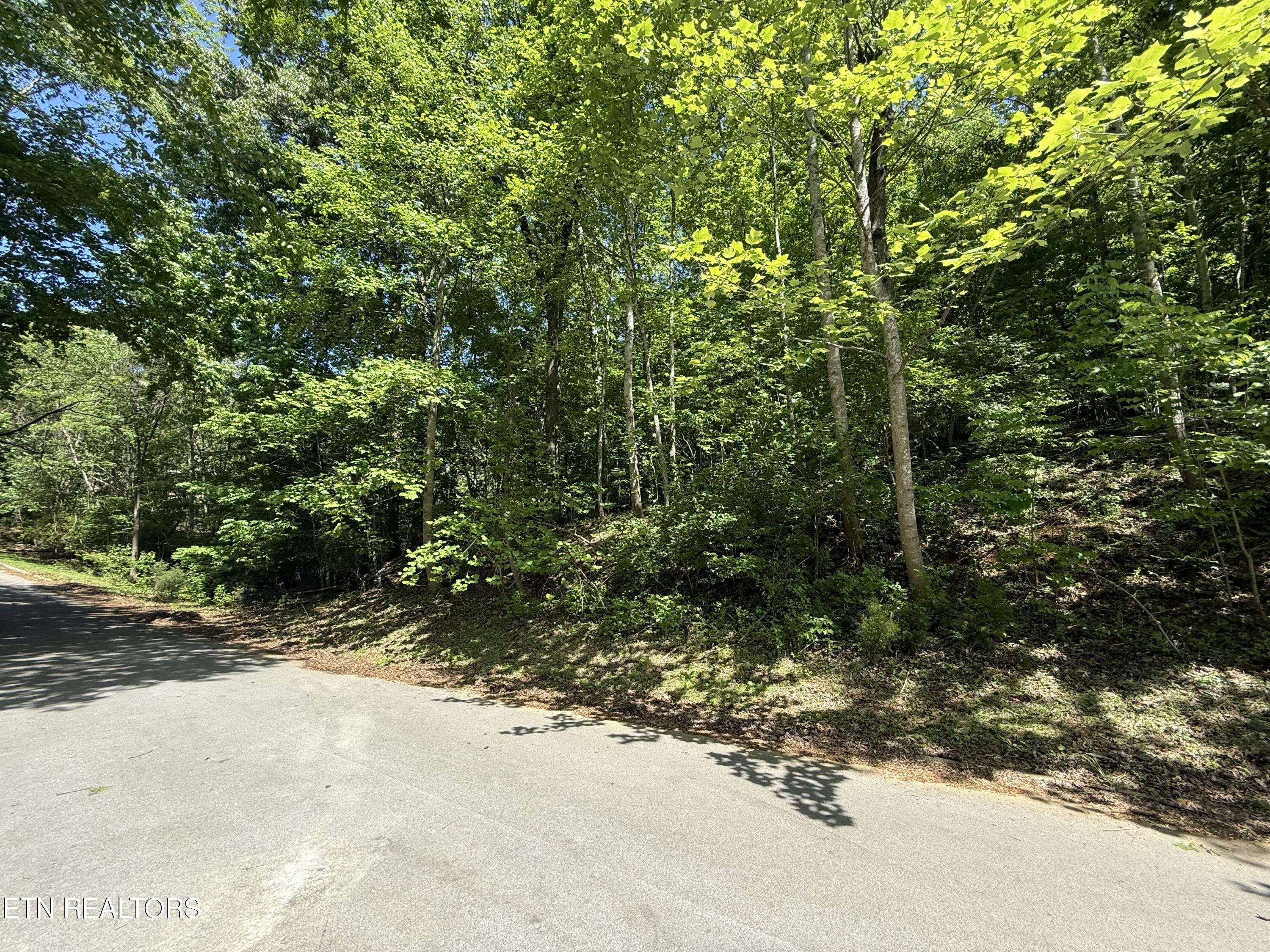 Gravelly Hills/Forrest Ridge, Louisville, TN - Fort Loudoun and Tellico Lake Real Estate - Image# 25
