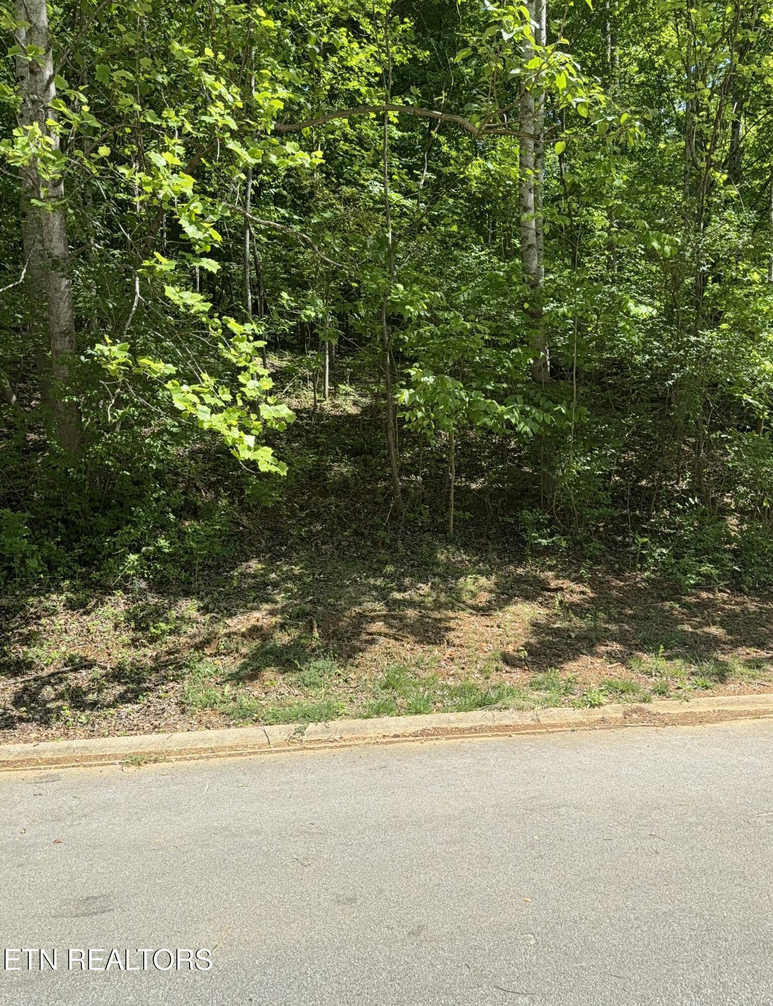 Gravelly Hills/Forrest Ridge, Louisville, TN - Fort Loudoun and Tellico Lake Real Estate - Image# 26