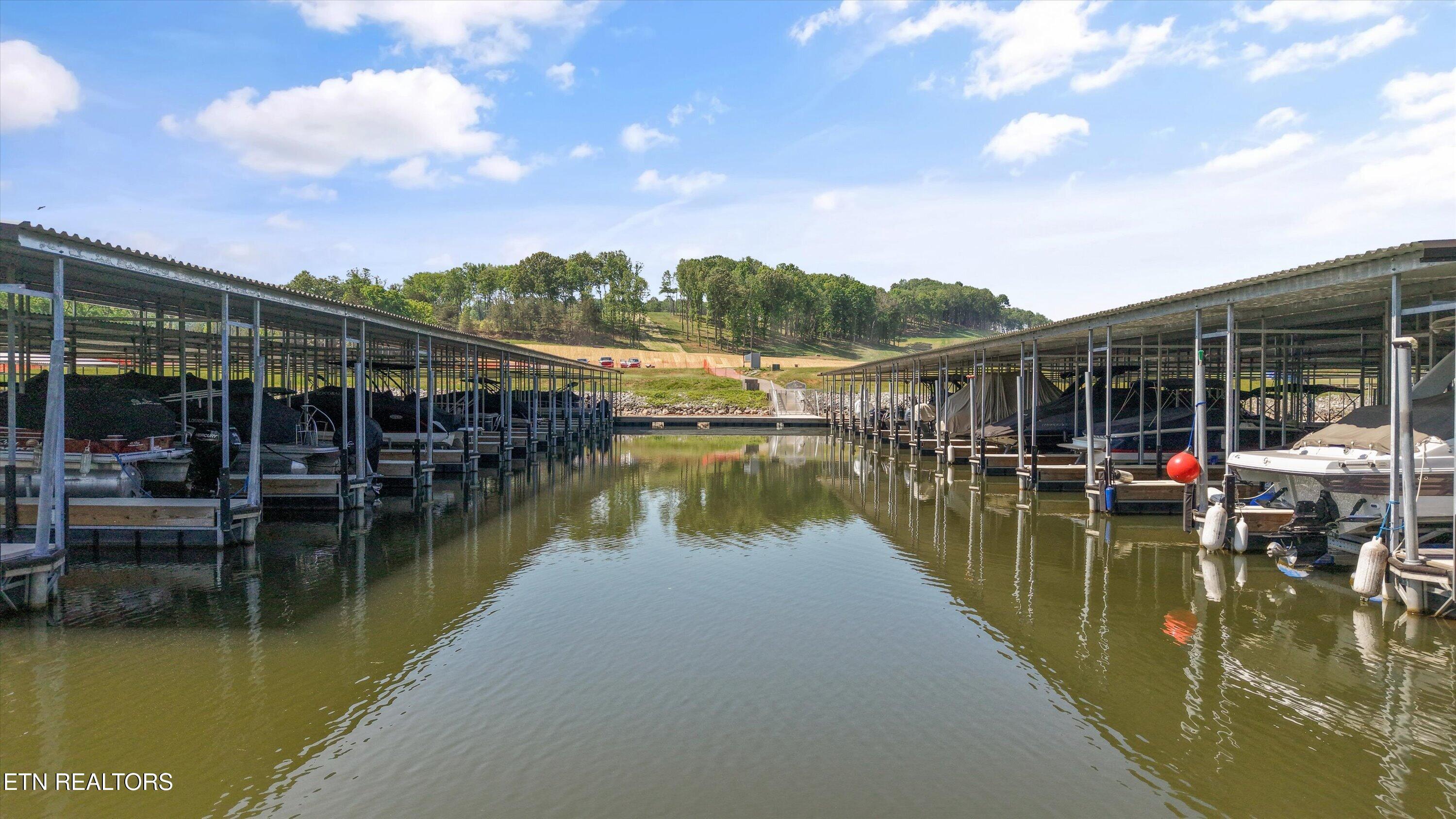 145 Canopy Trail Lane, Loudon, TN - Fort Loudoun and Tellico Lake Real Estate - Image# 8