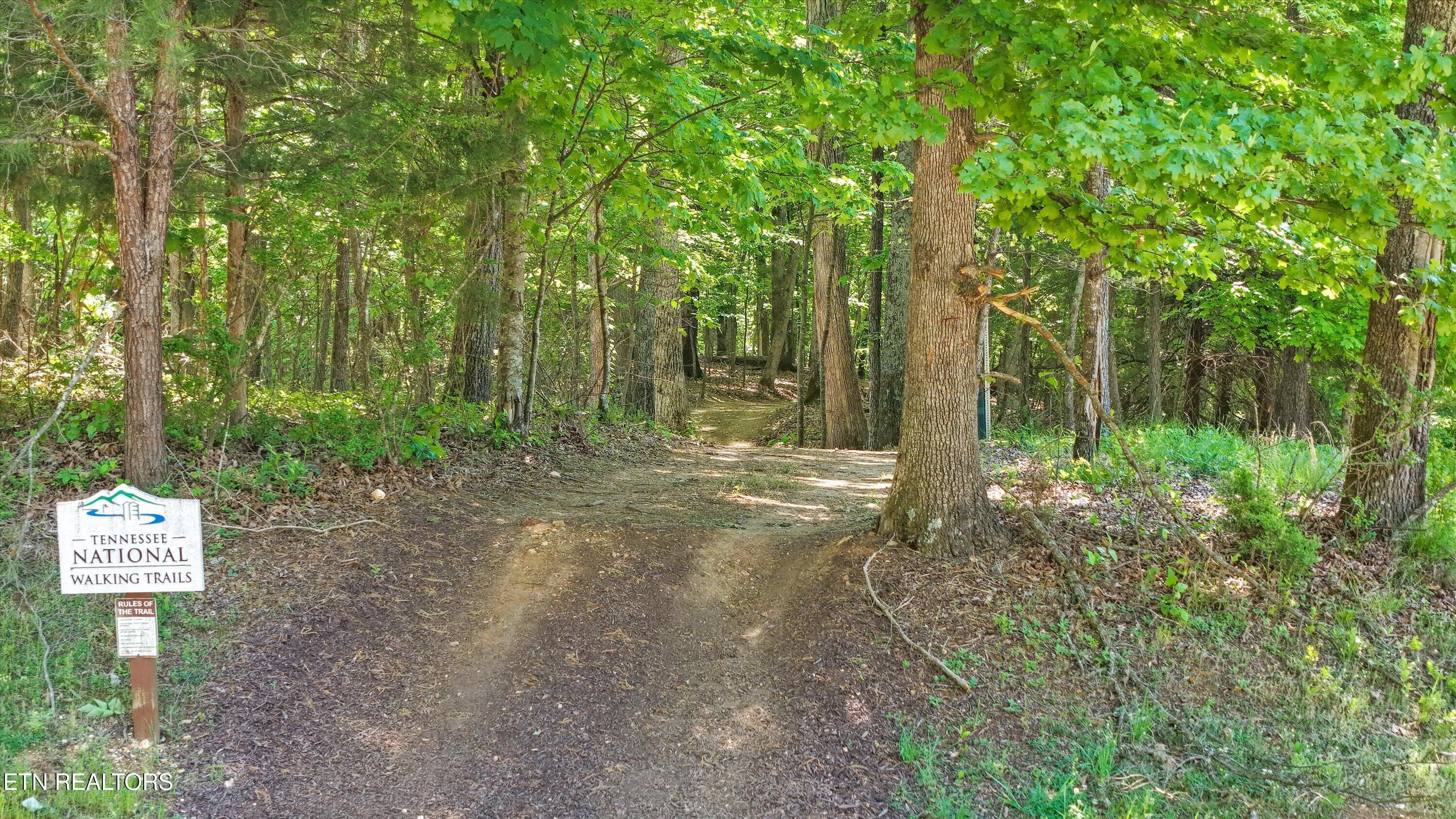 145 Canopy Trail Lane, Loudon, TN - Fort Loudoun and Tellico Lake Real Estate - Image# 24