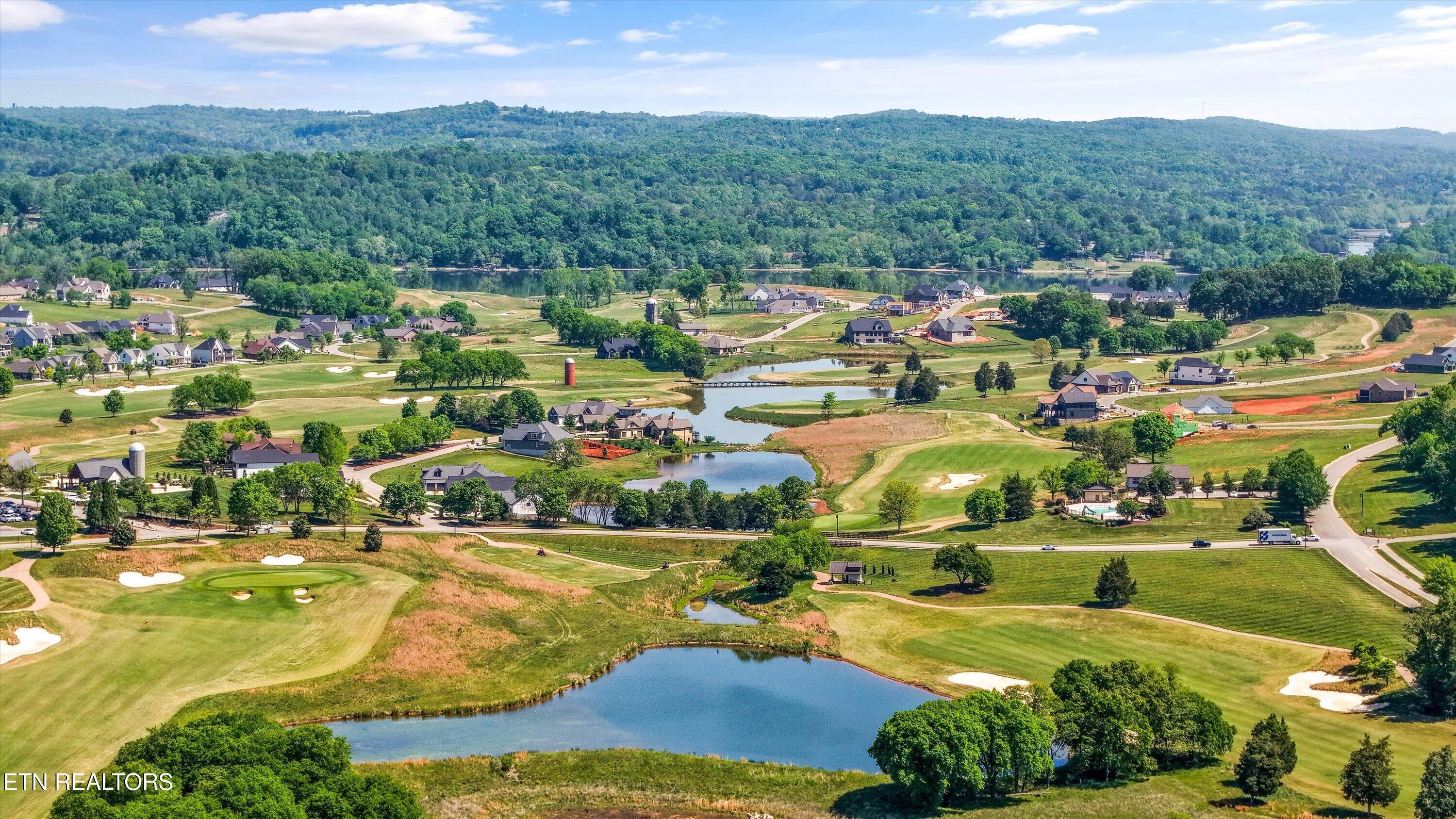 145 Canopy Trail Lane, Loudon, TN - Fort Loudoun and Tellico Lake Real Estate - Image# 6