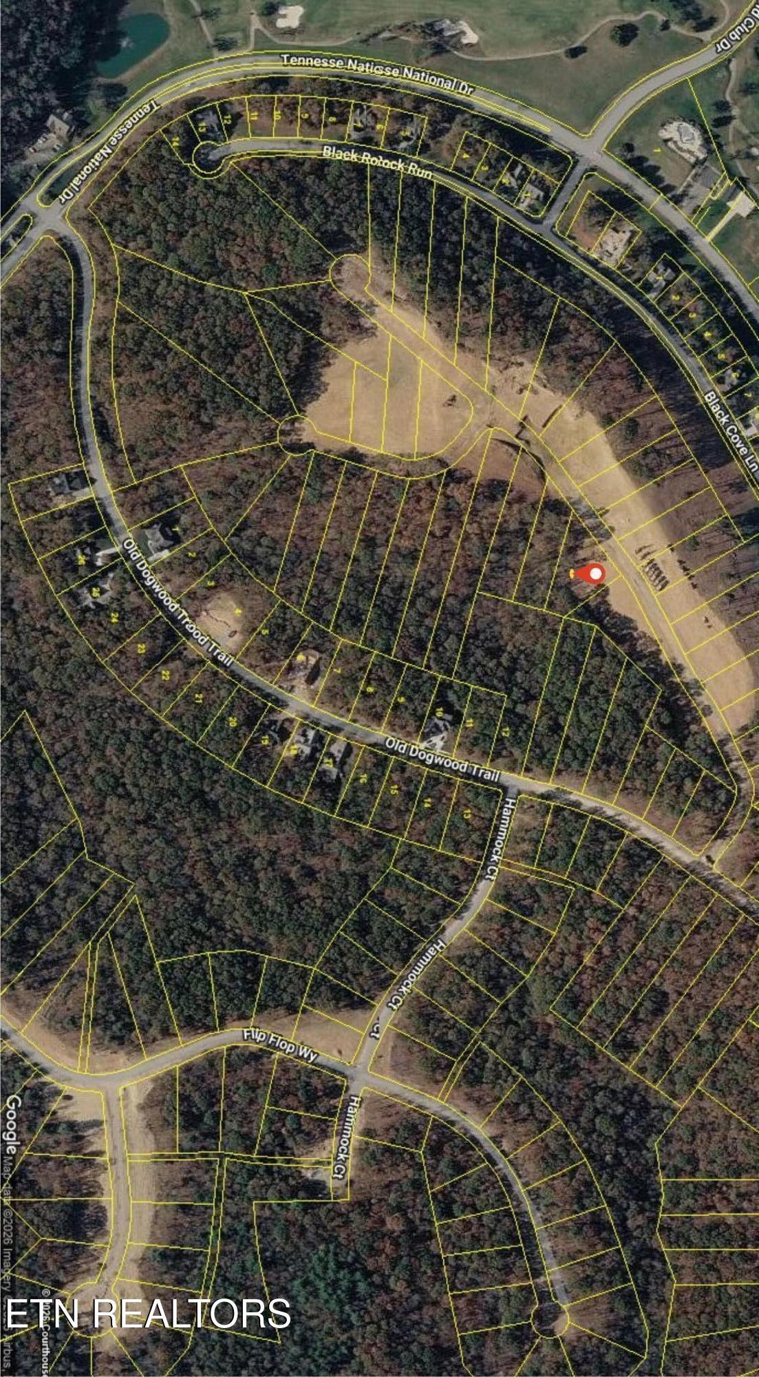 145 Canopy Trail Lane, Loudon, TN - Fort Loudoun and Tellico Lake Real Estate - Image# 3