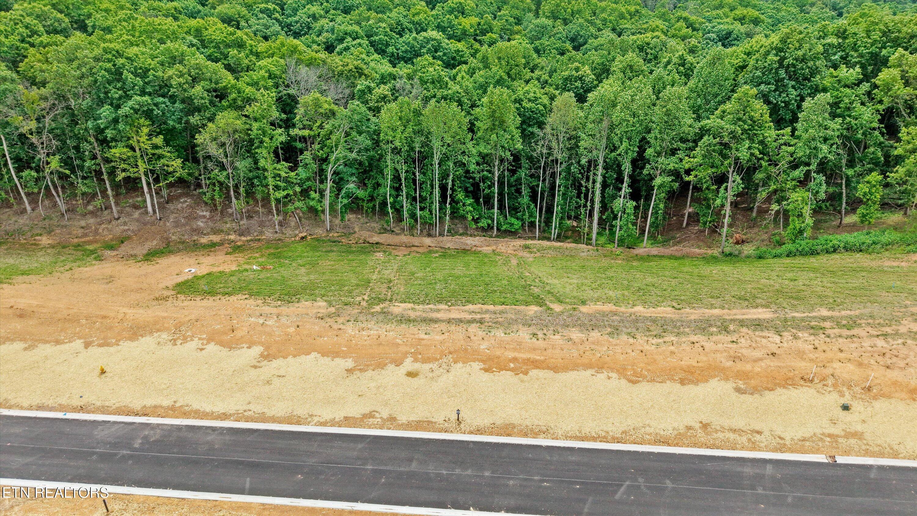 Fort Loudoun and Tellico Lake Real Estate - Image# 10