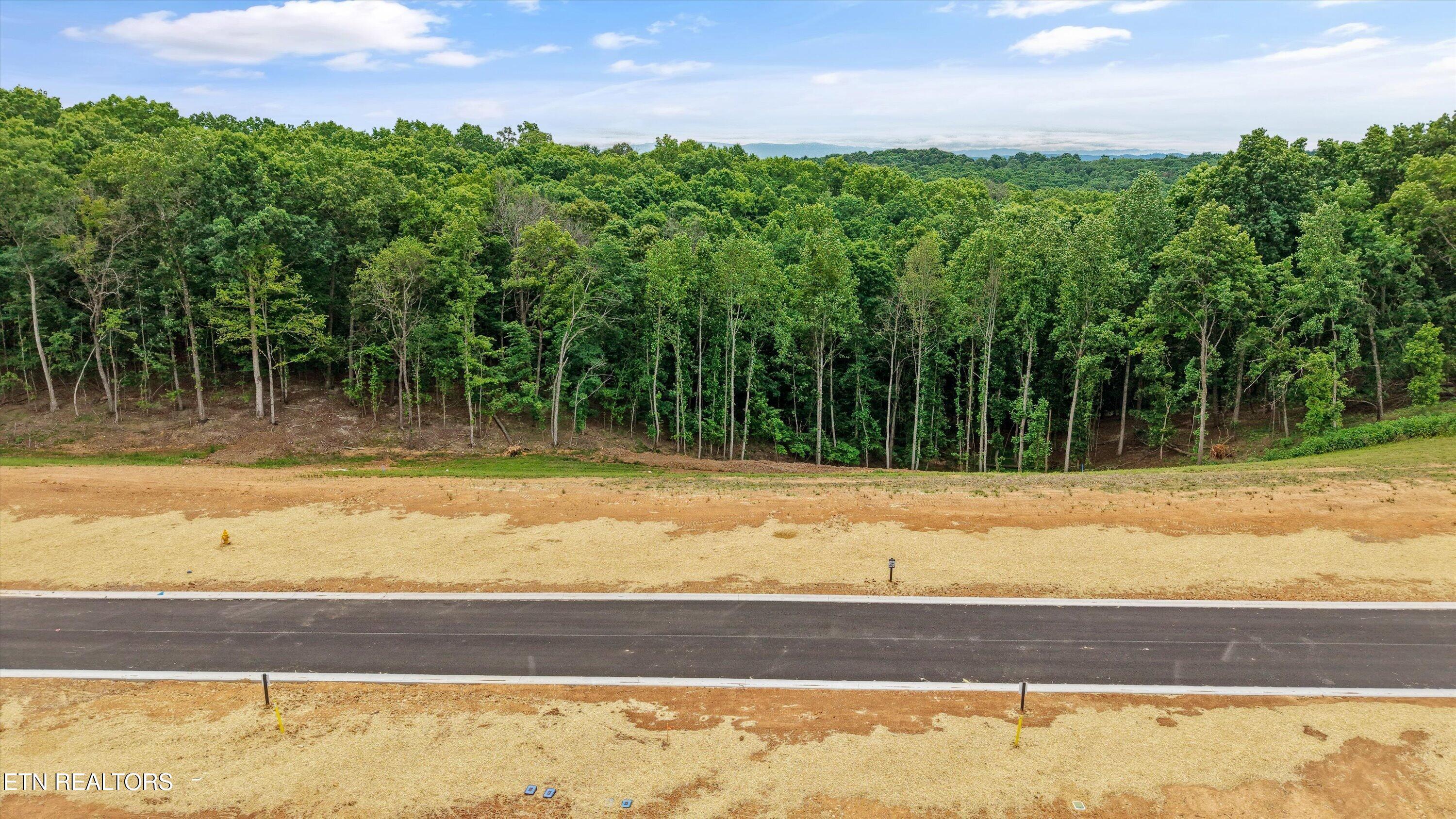 Fort Loudoun and Tellico Lake Real Estate - Image# 4