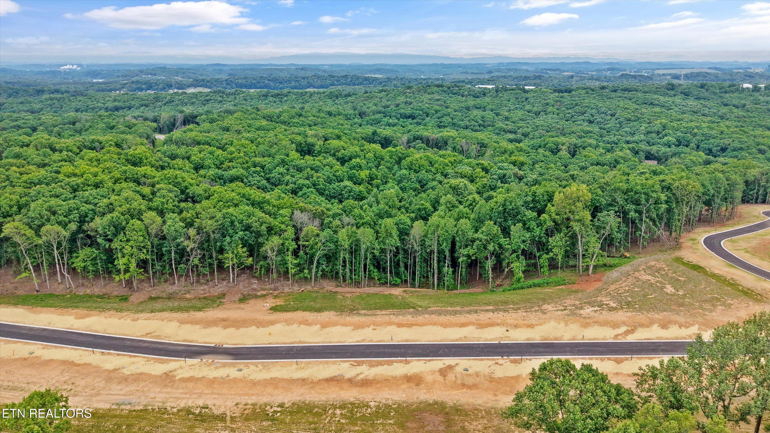Fort Loudoun and Tellico Lake Real Estate - Image# 6